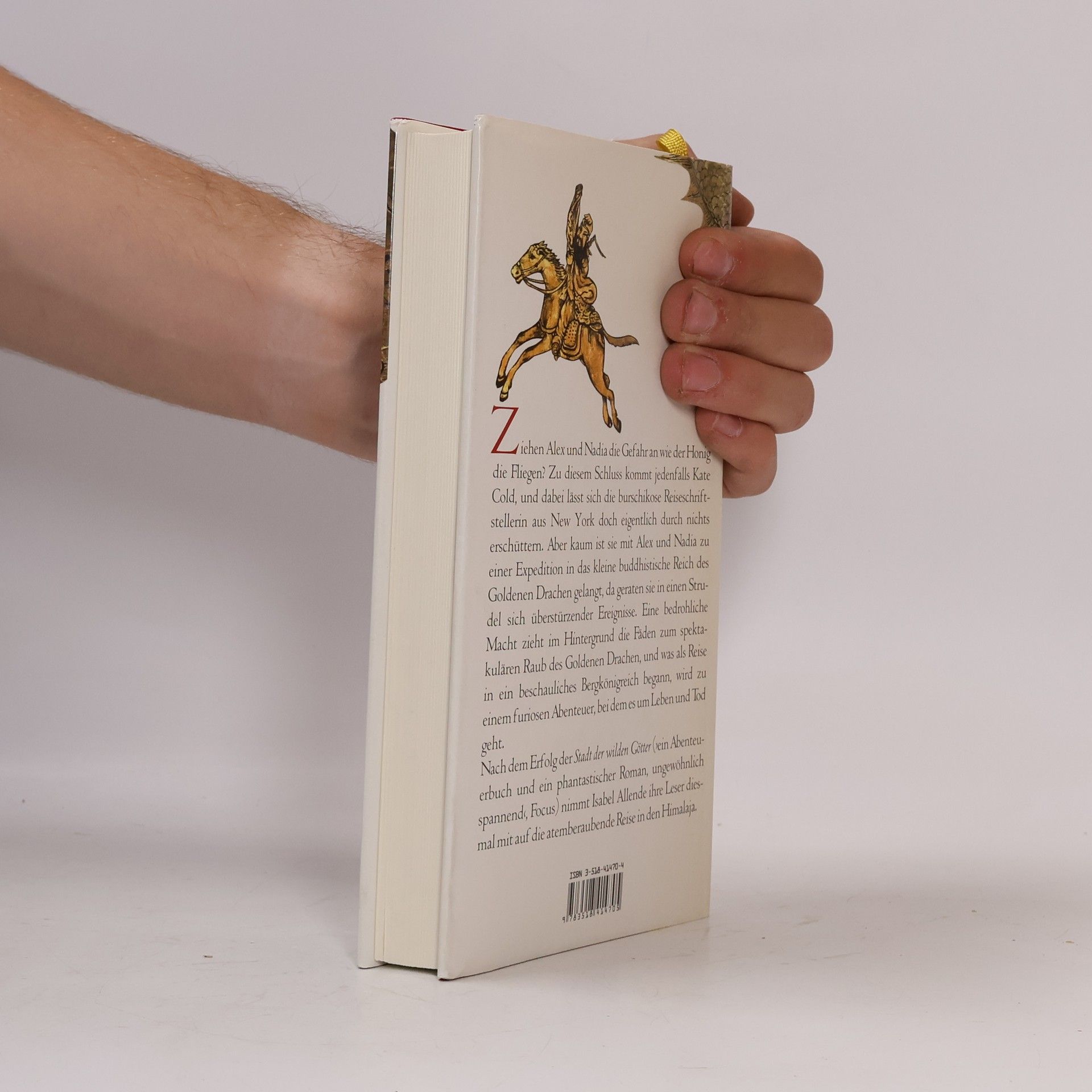 Isabel Allende Im Reich des goldenen Drachen