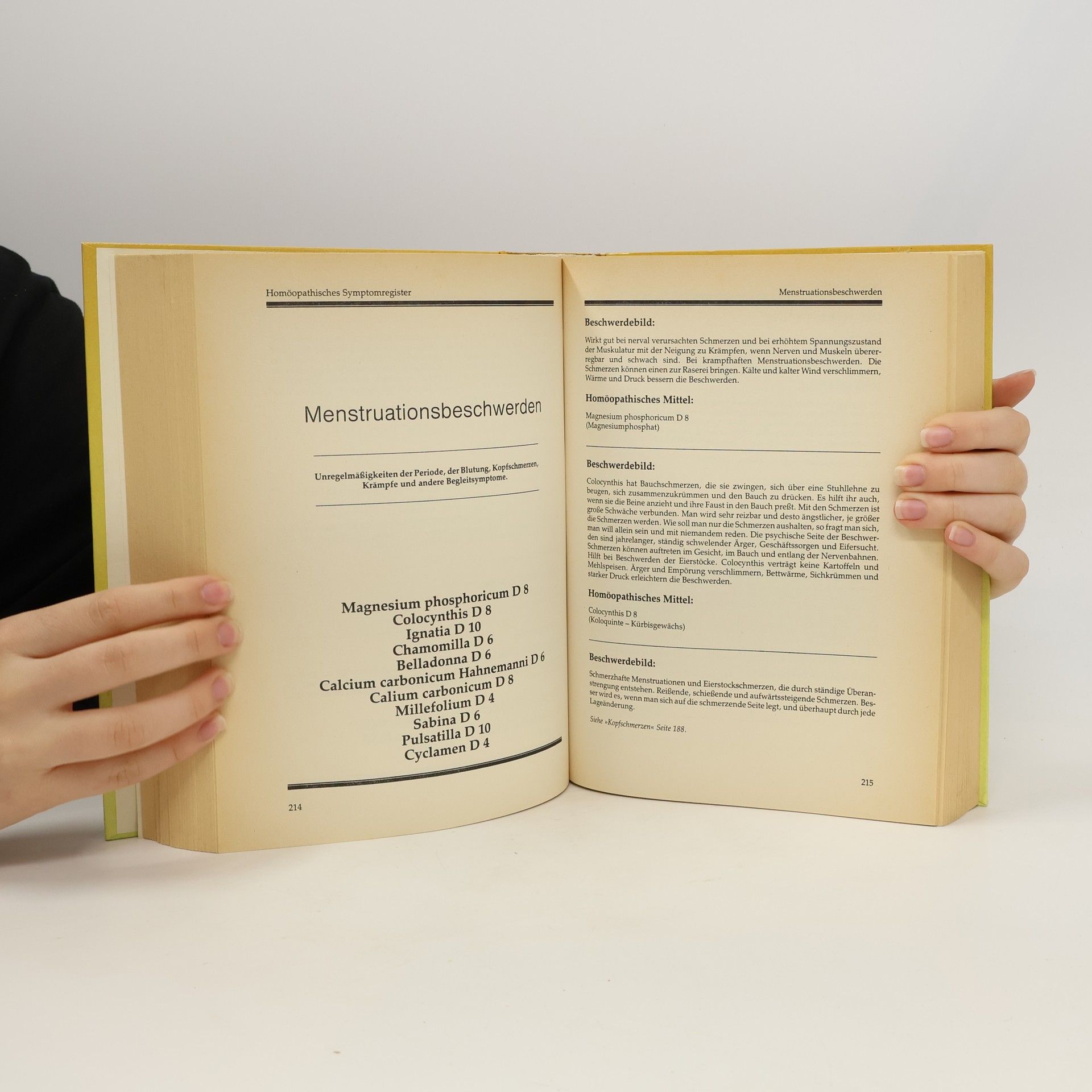 Kurt Schönberger Das große Hausbuch der Homöopathie