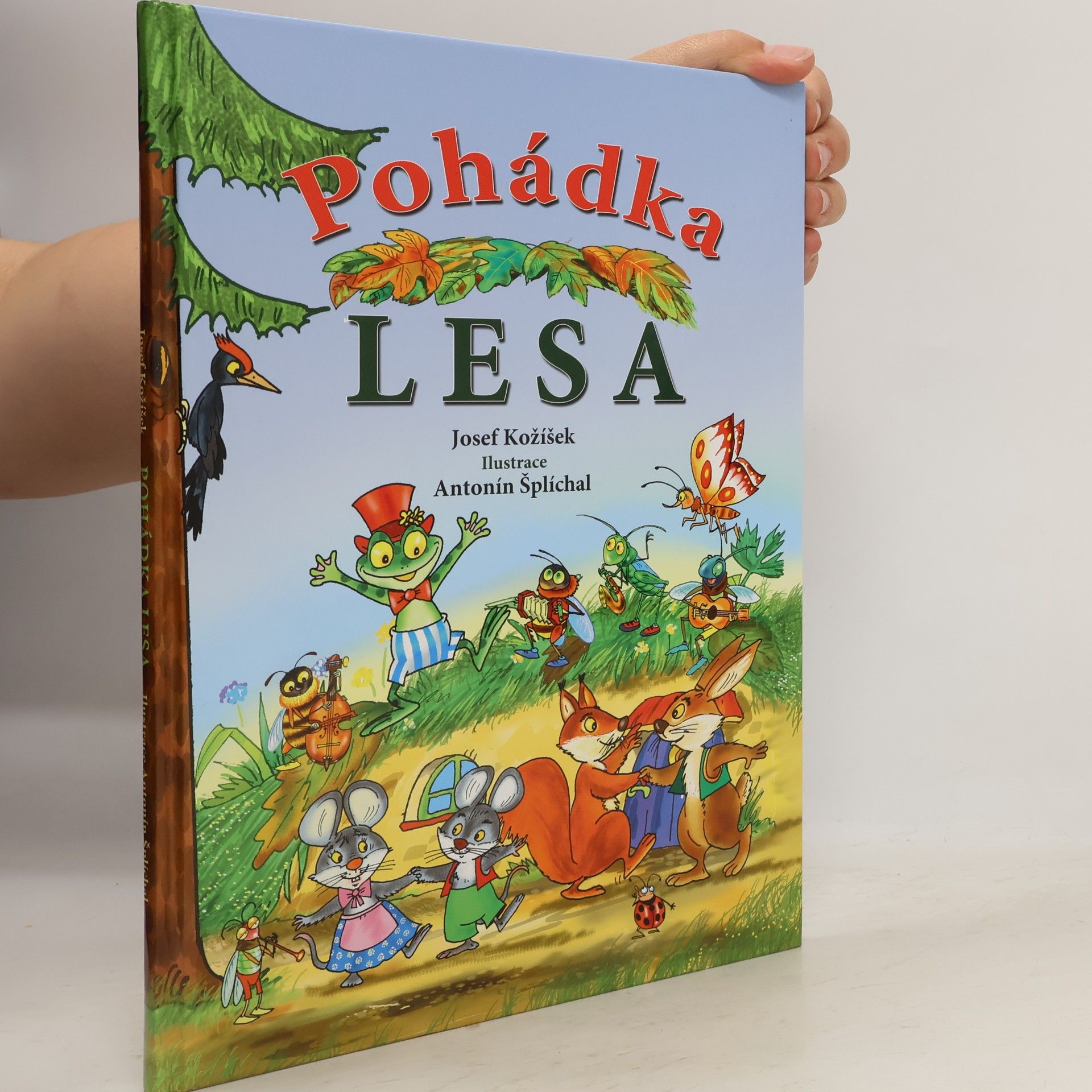 Josef Kožíšek Pohádka lesa