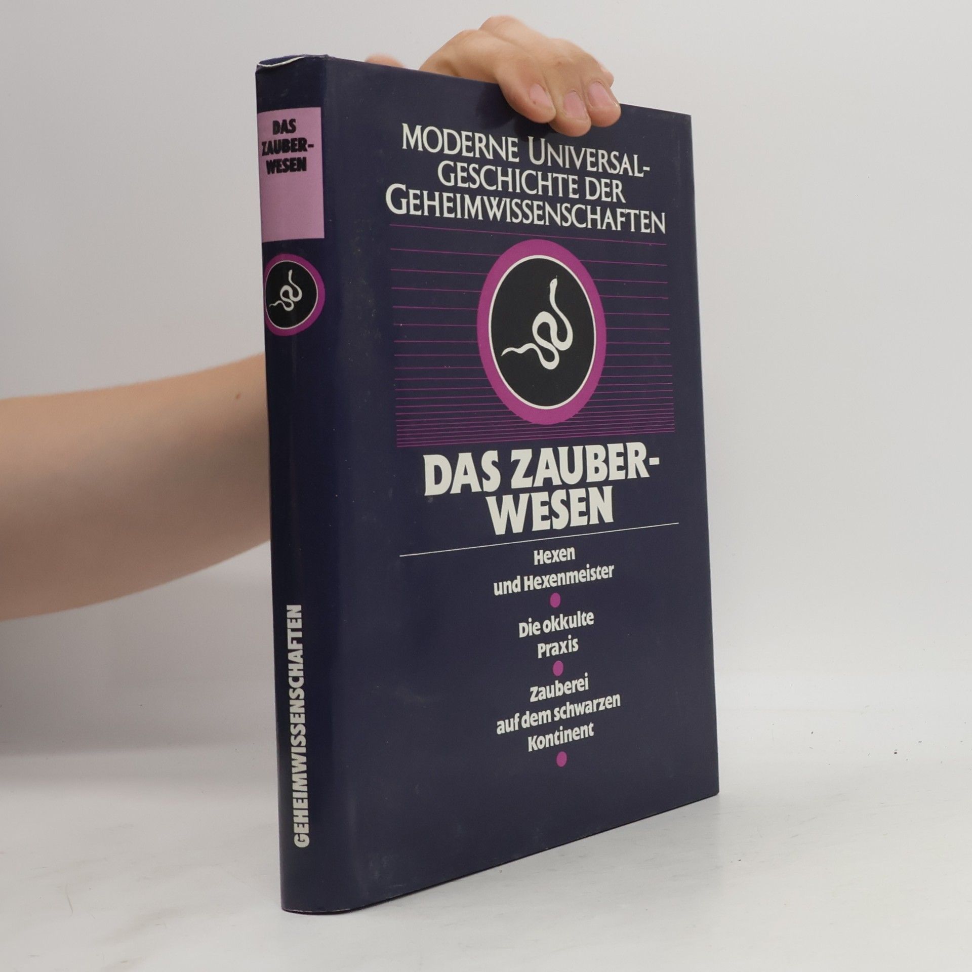 AA.VV. Moderne universal- geschichte der geheimwissenschaften: Das Zauberwesen