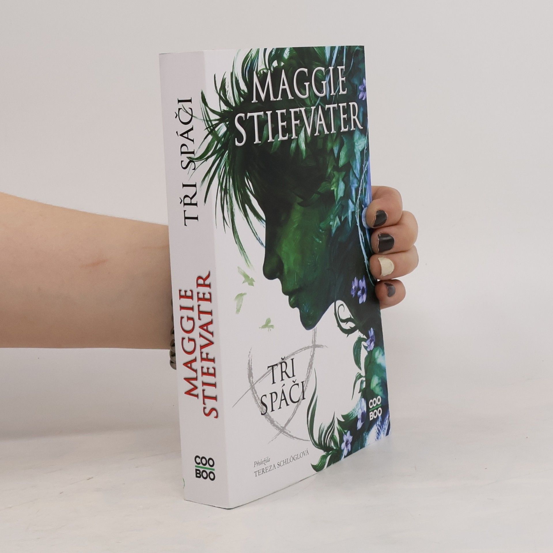 Maggie Stiefvater Tři spáči