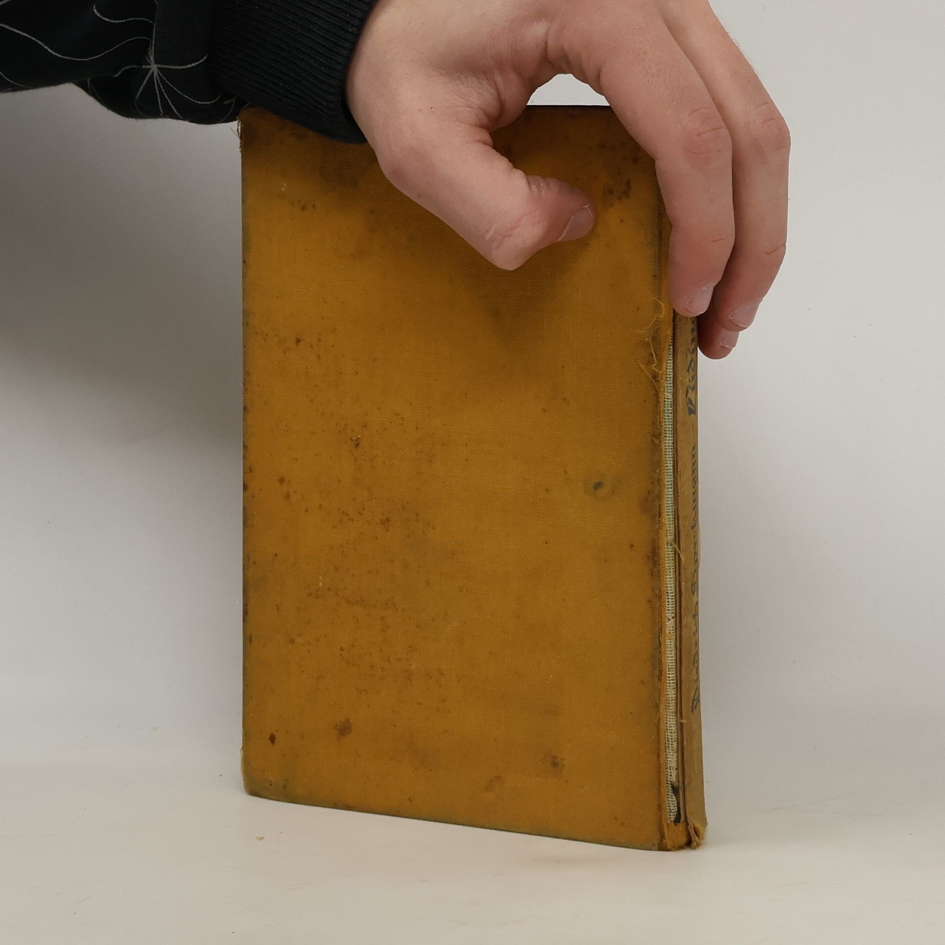 Diedrich Speckmann Lüdinghoff
