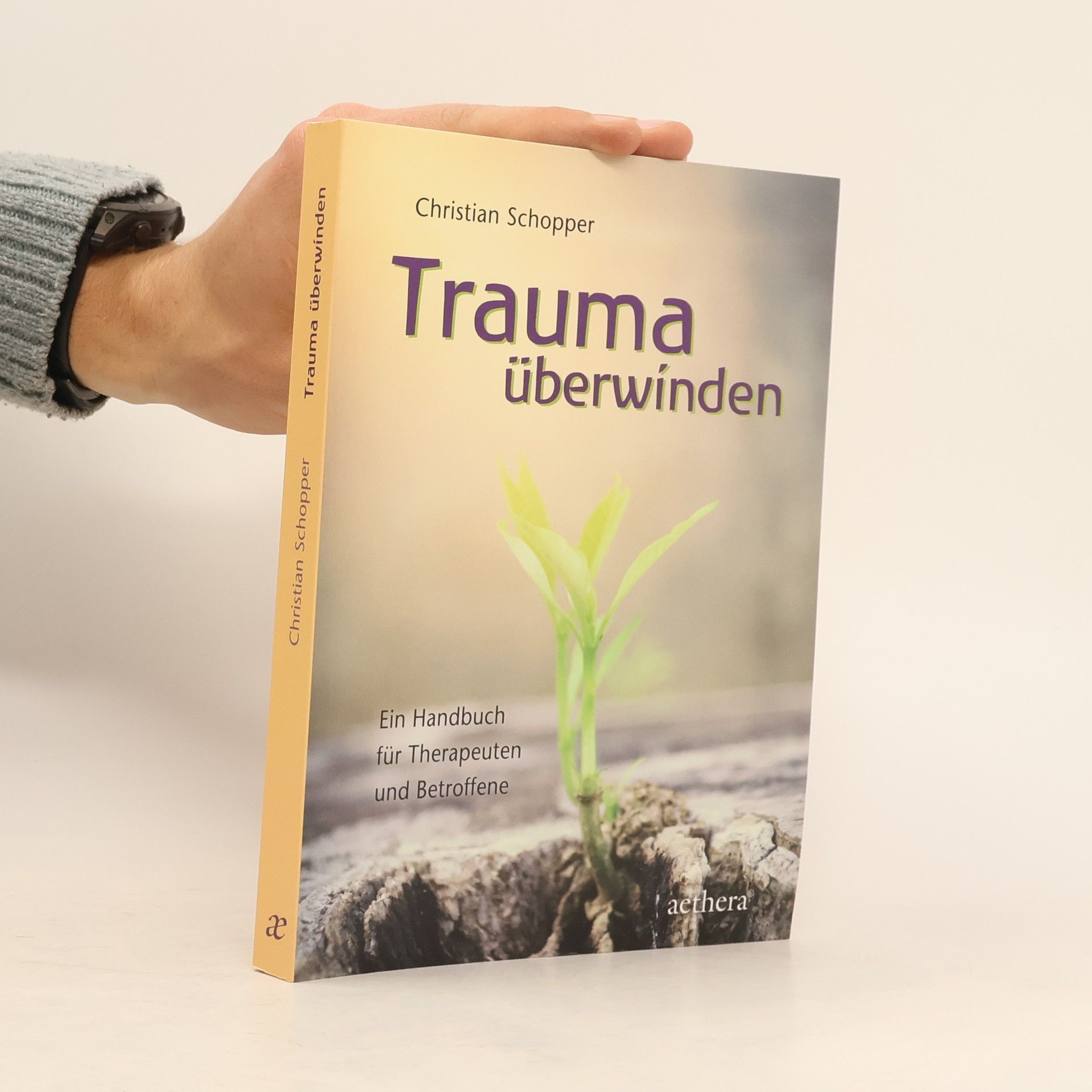 Christian Schopper Trauma überwinden