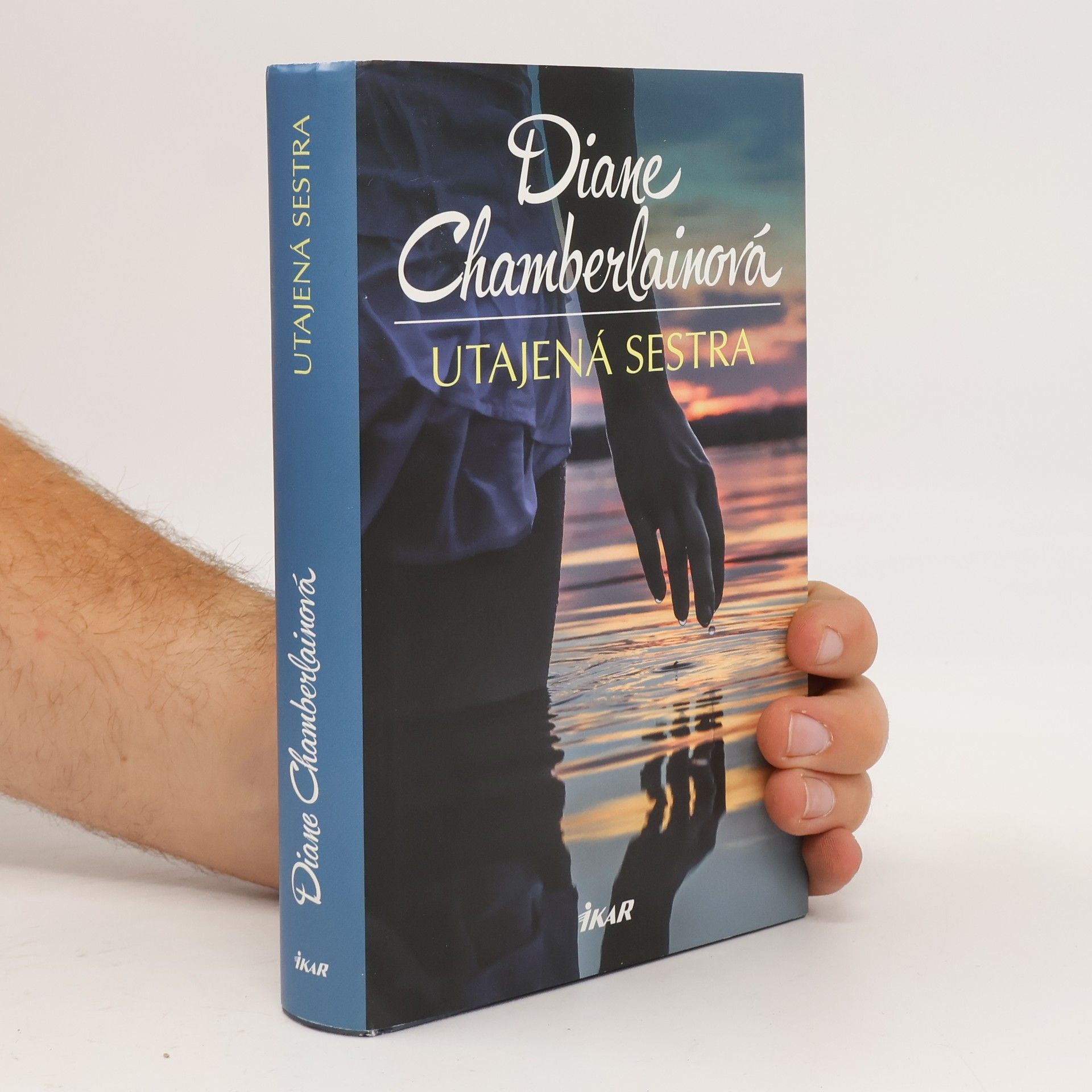 Diane Chamberlain Utajená sestra