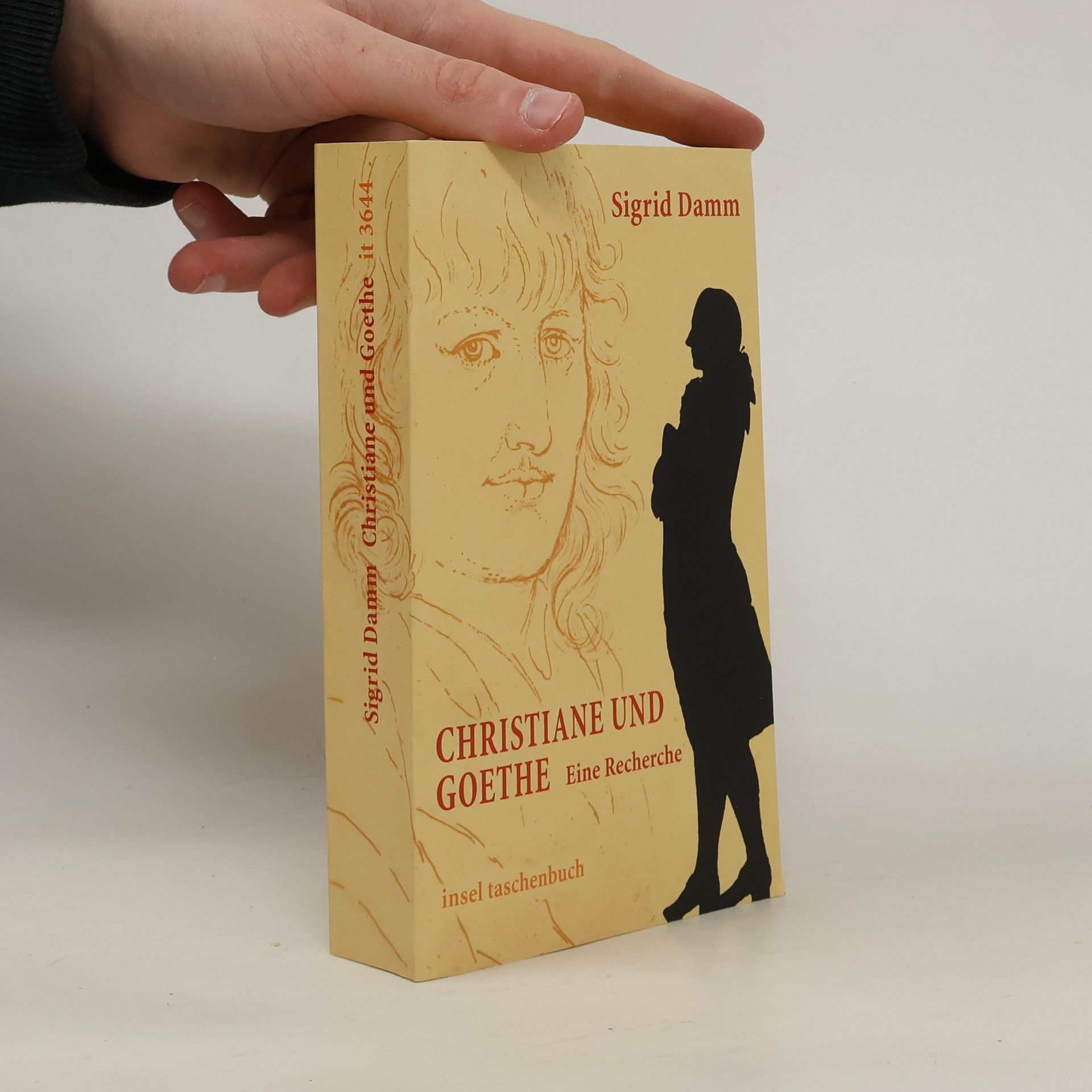 Sigrid Damm Christiane und Goethe