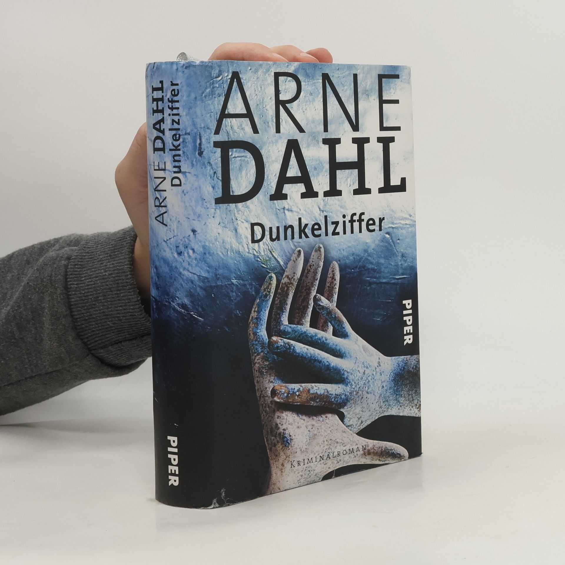 Arne Dahl Dunkelziffer
