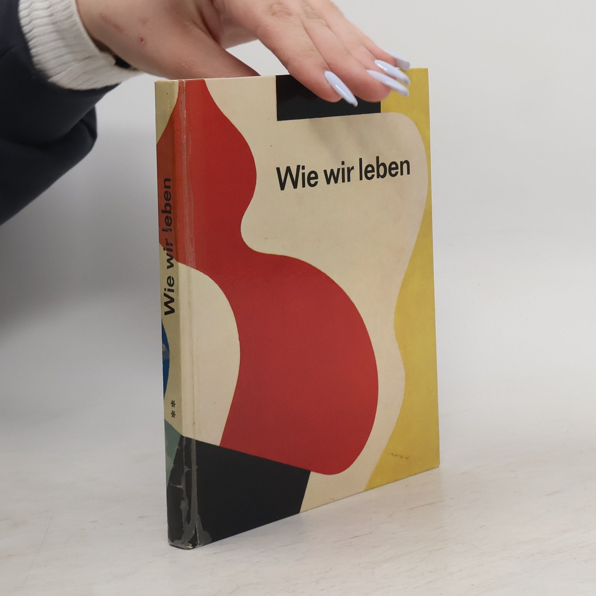 Kolektiv autorů Wie wir leben