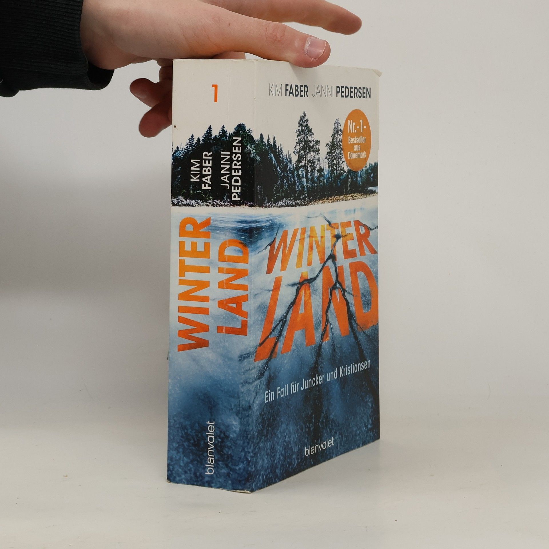 Kim Faber Winterland