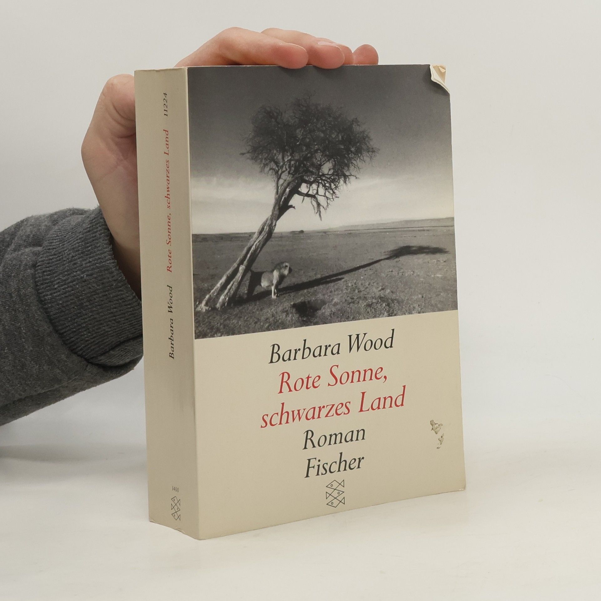 Barbara Wood Rote Sonne schwarzes Land