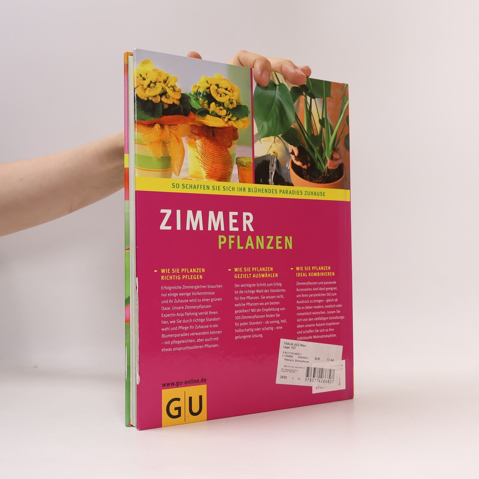 Anja Flehming Zimmer-Pflanzen für Einsteiger