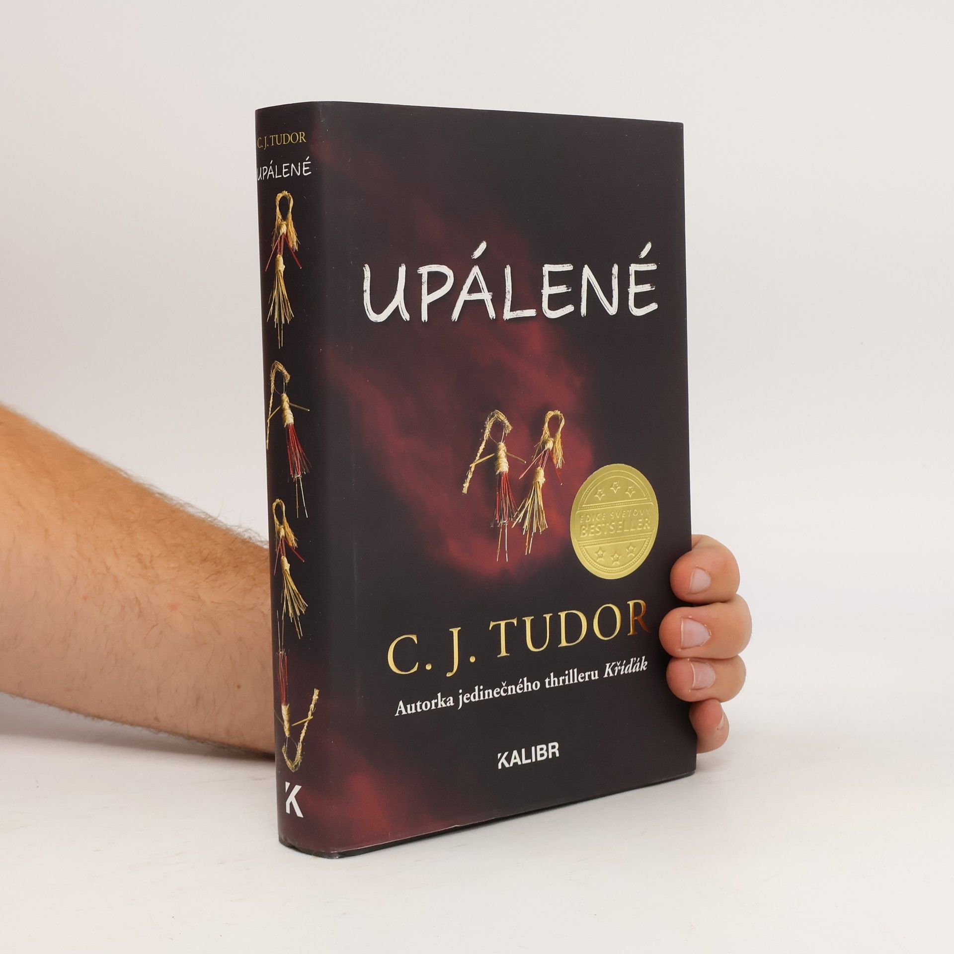 C. J. Tudor Upálené