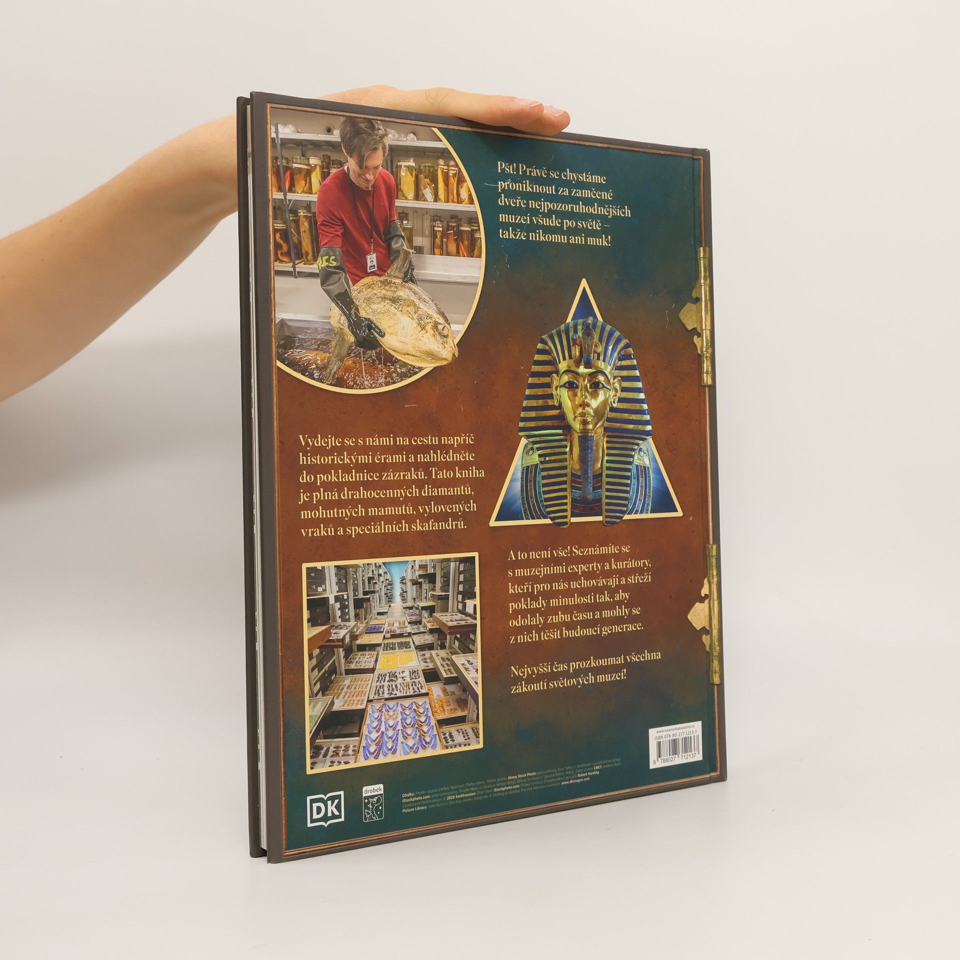 Autores varios V zákulisí: Muzeum