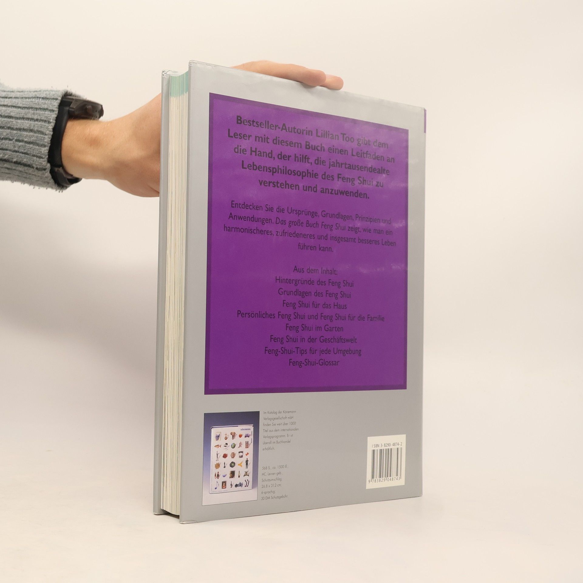 Lillian Too Das grosse Buch Feng Shui