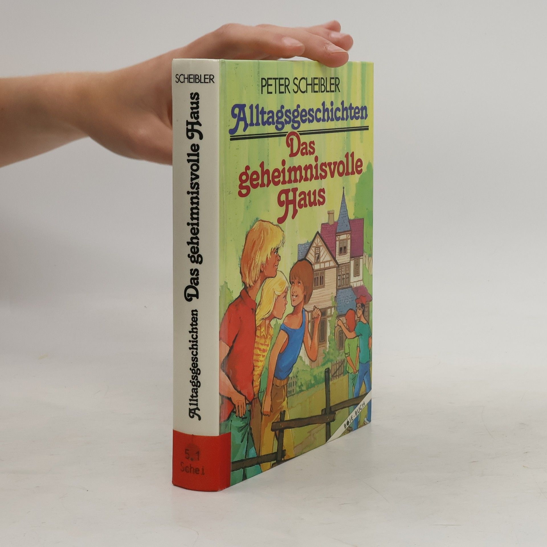 Peter Scheibler Alltagsgeschichten. Das geheimnisvolle Haus