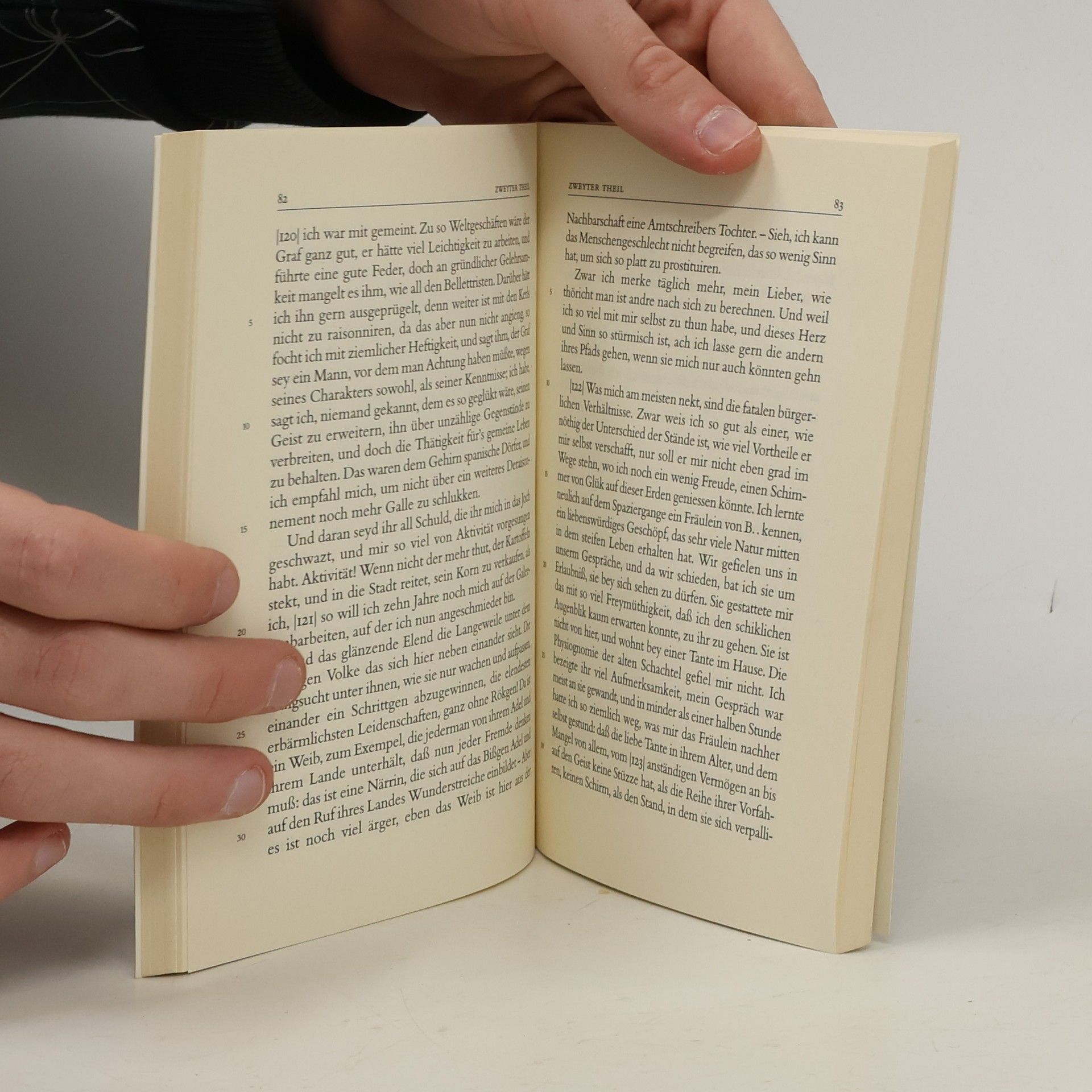 Johann Wolfgang von Goethe Die Leiden des jungen Werthers