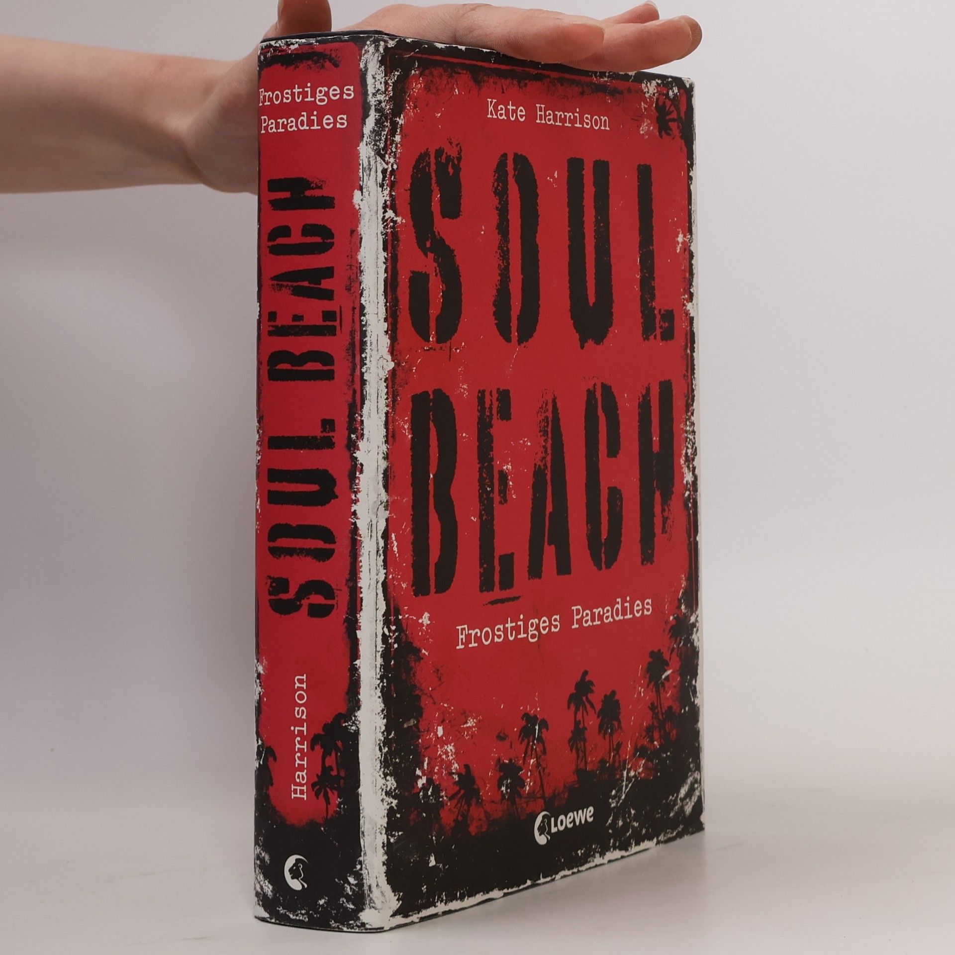 Kate Harrison Soul Beach. Frostiges Paradies
