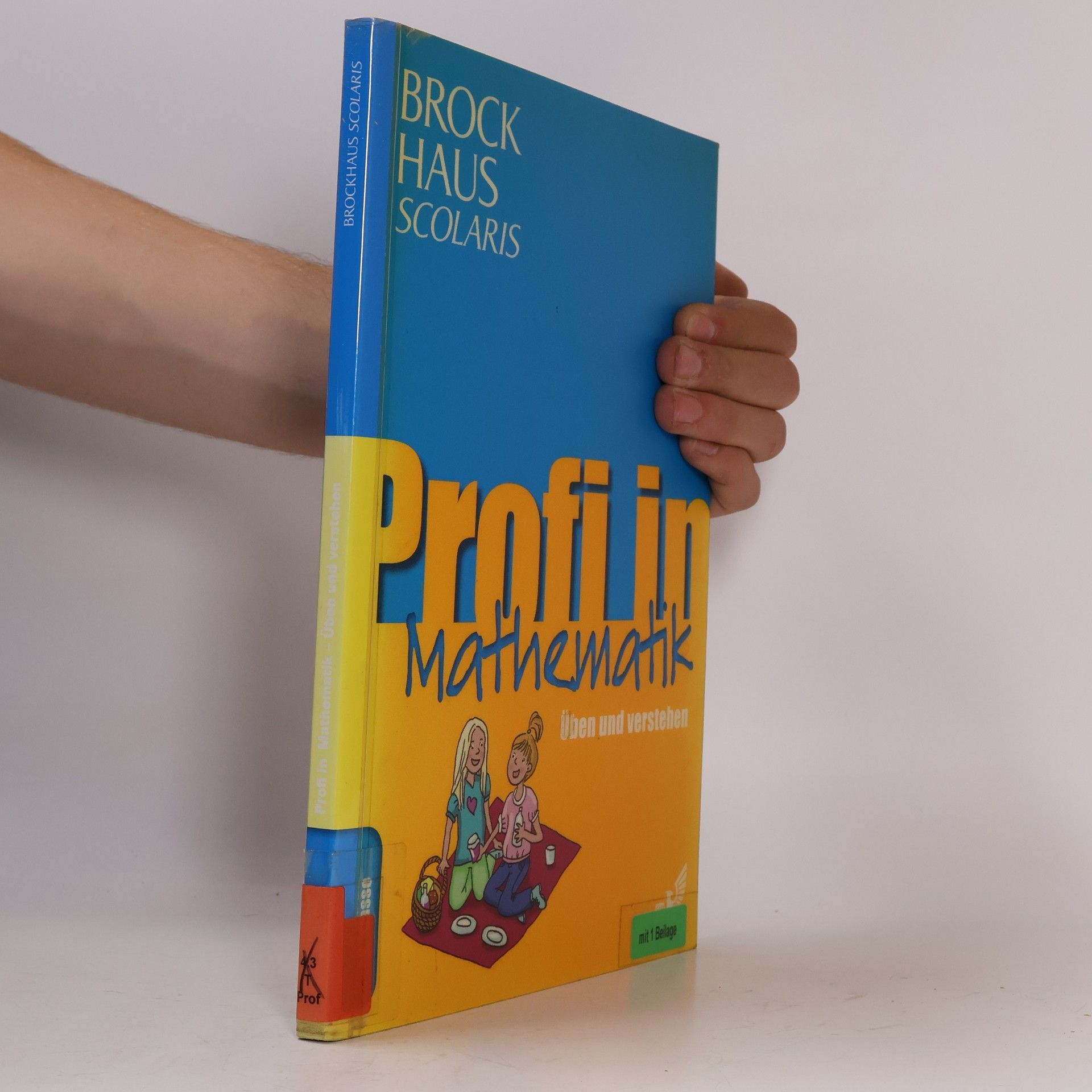 Unknown Author Brockhaus Scolaris Profi in Mathematik 2. Klasse. Üben und verstehen