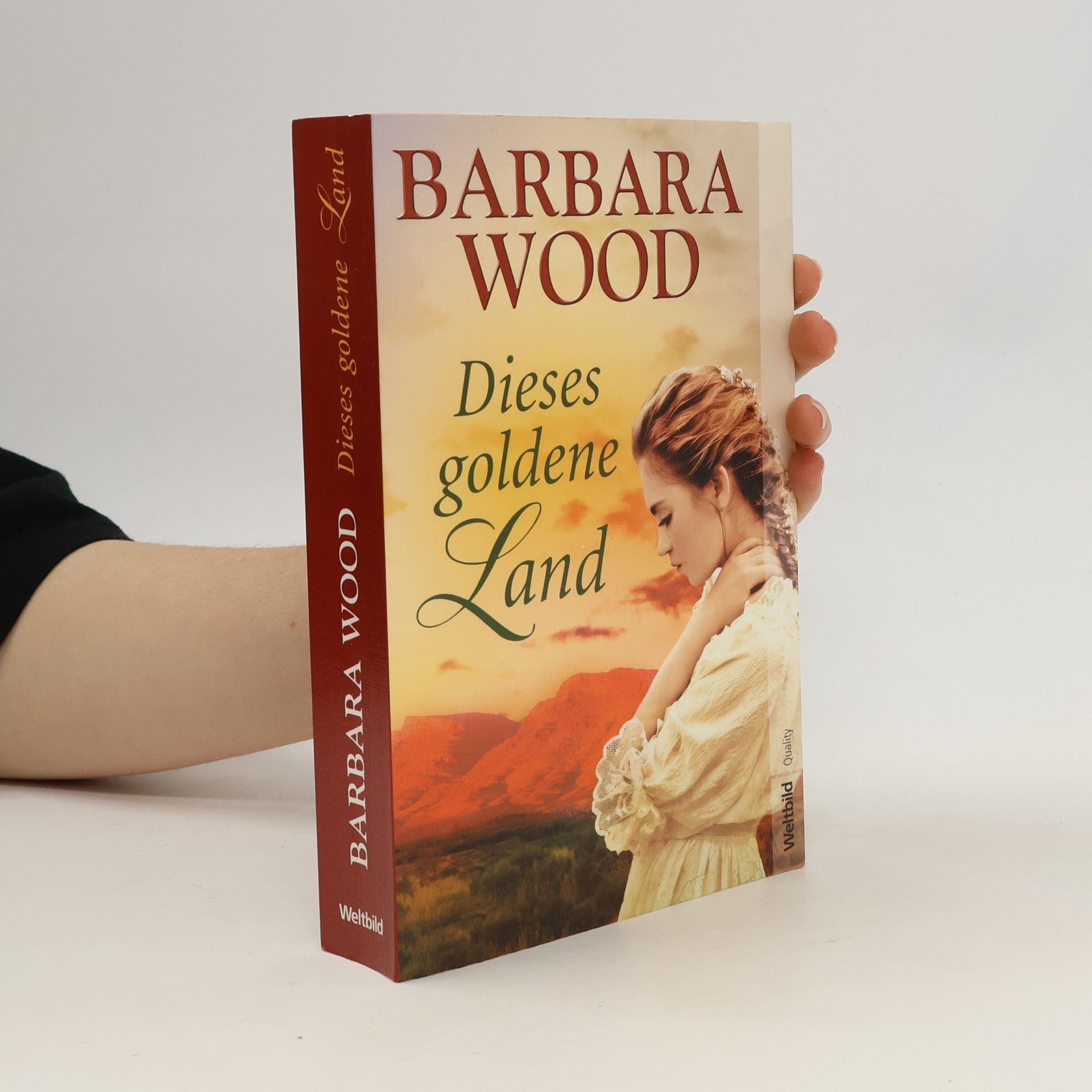 Barbara Wood Dieses goldene Land