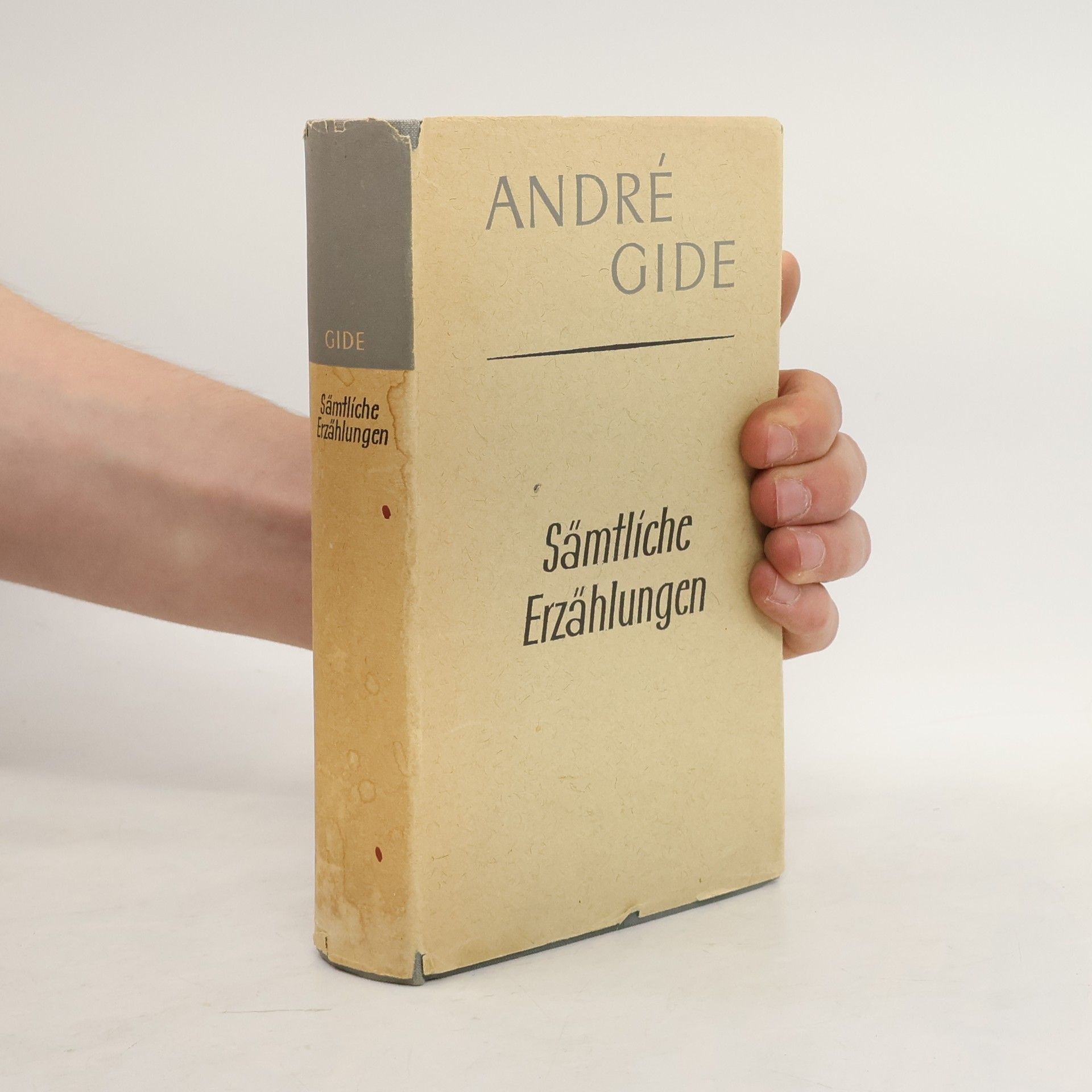 André Gide Sämtliche Erzählungen