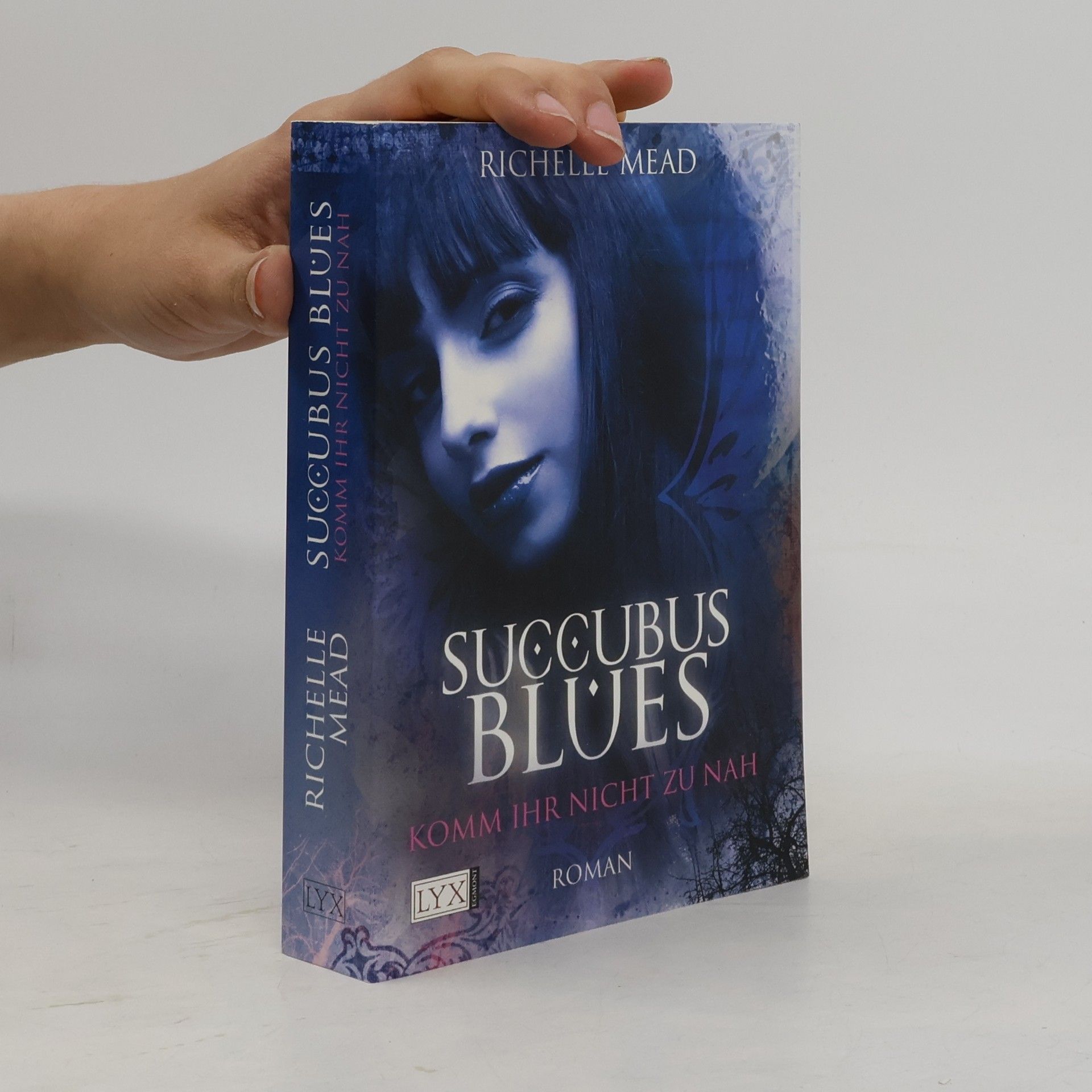 Richelle Mead Succubus Blues