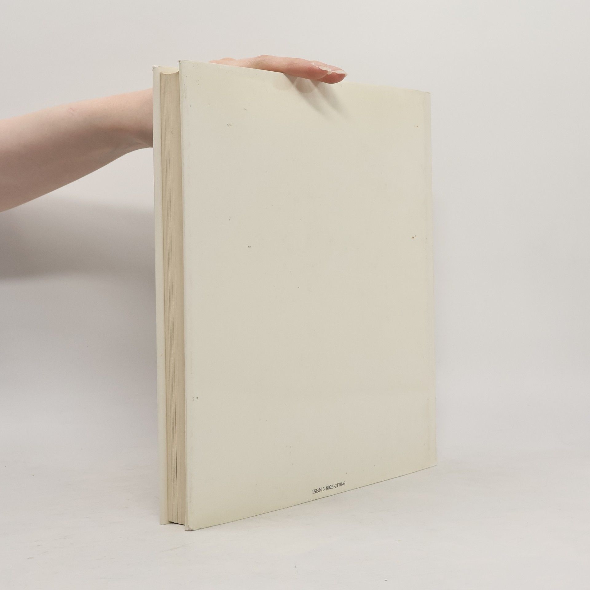 Various authors 100 Meisterwerke aus den grossen Museen der Welt