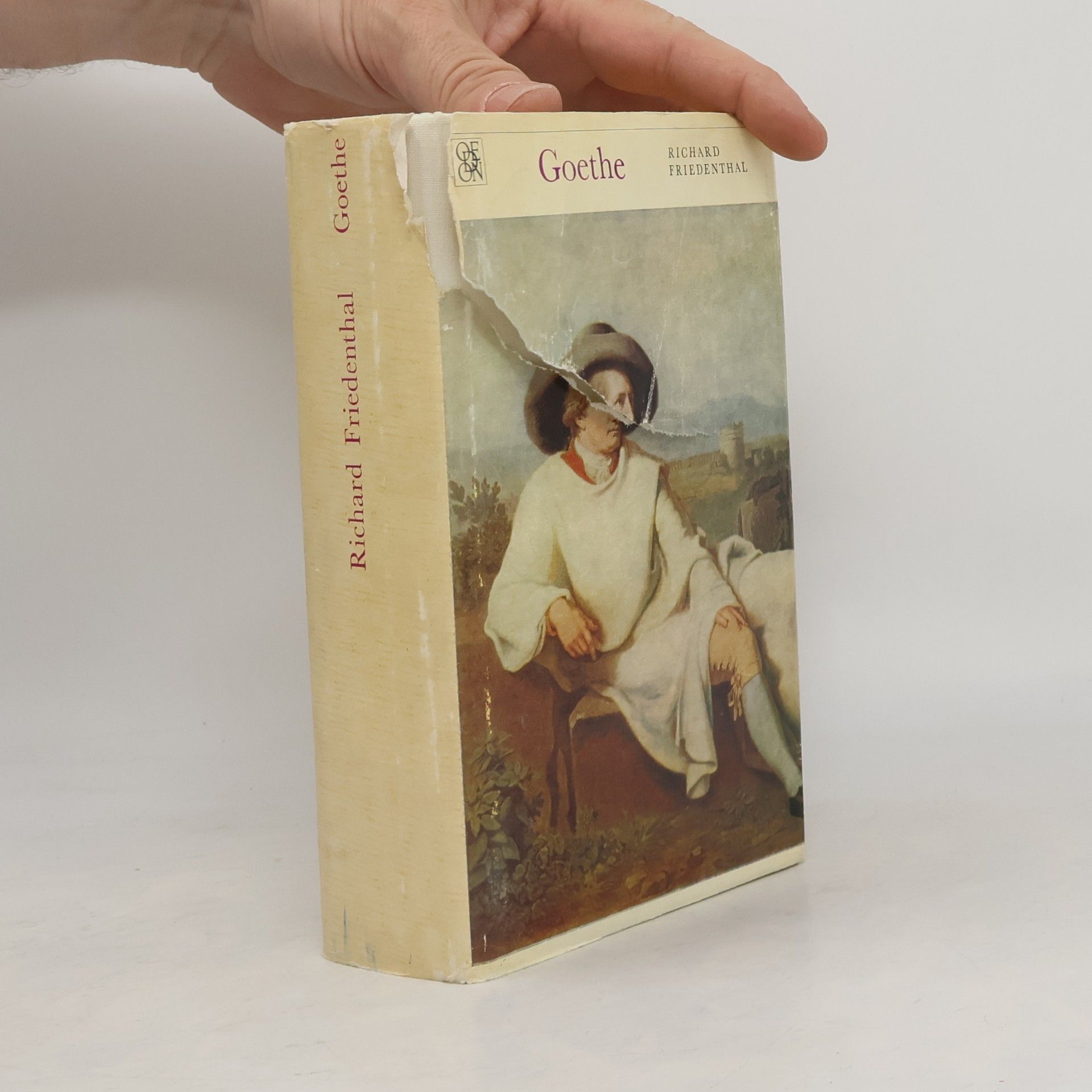 Rihard Fridental Goethe. Jeho život a jeho doba