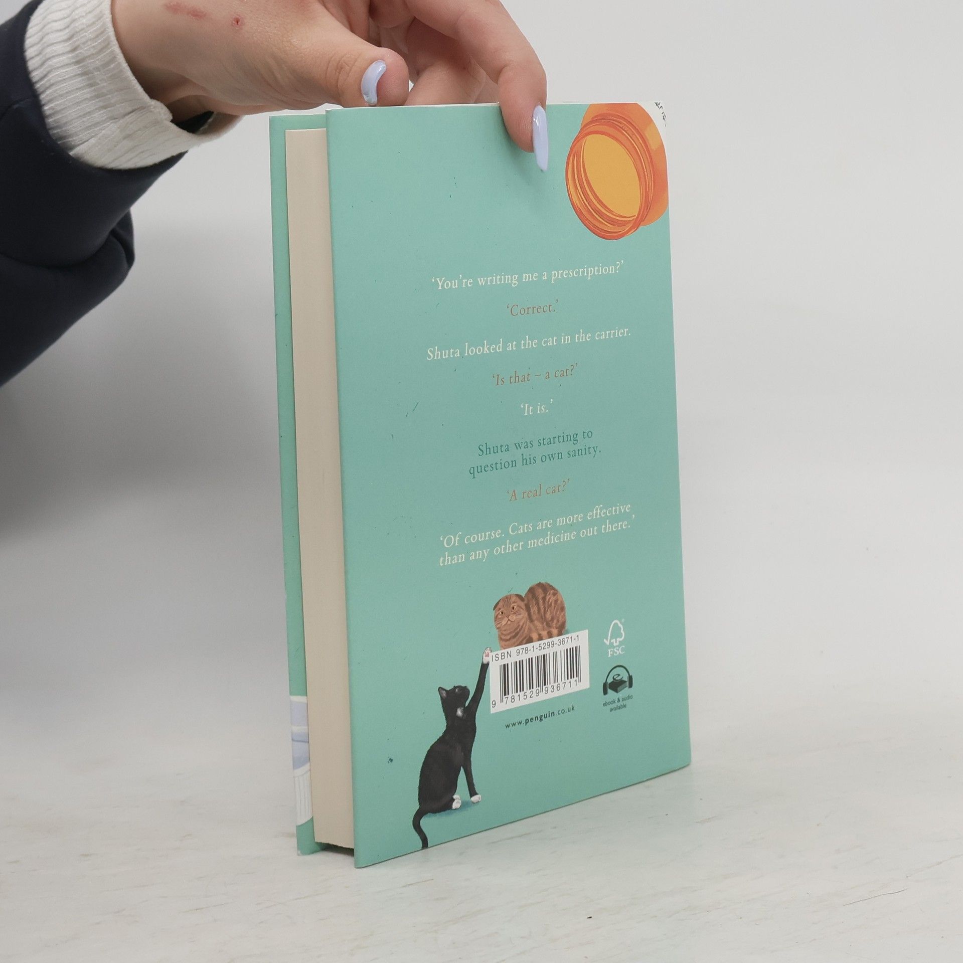 Syou Ishida We'll Prescribe You a Cat: The feel good Japanese bestselling book