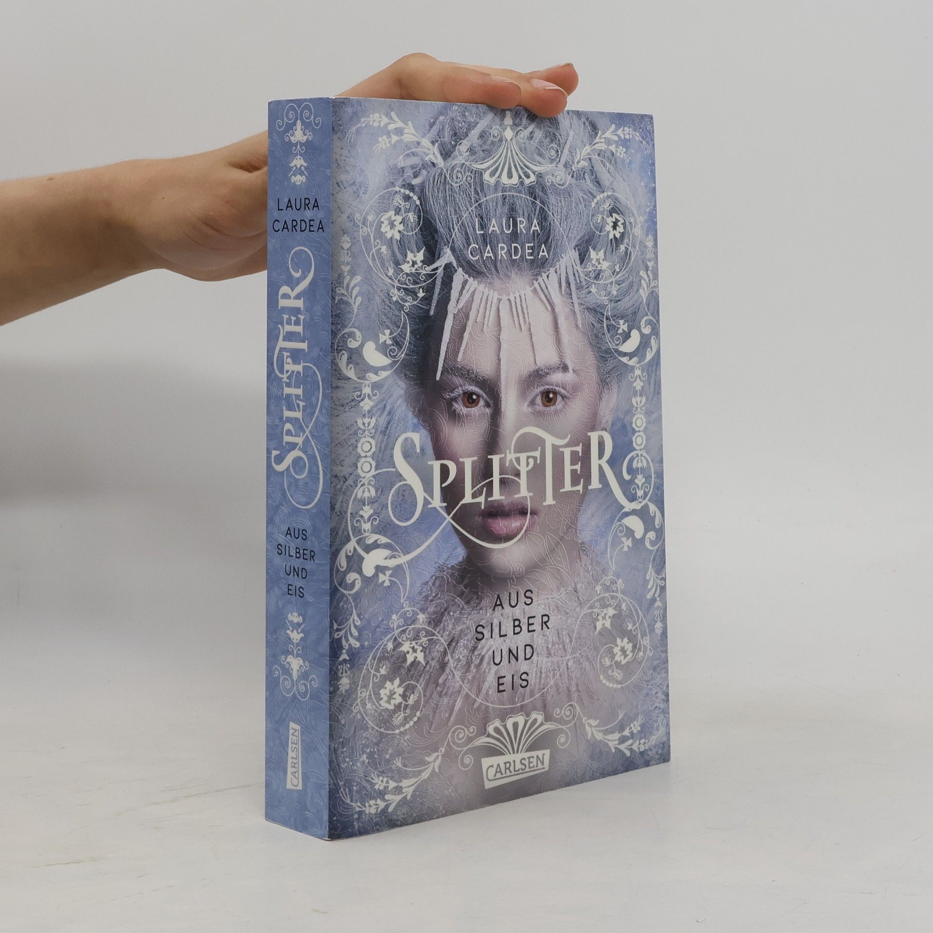 Splitter aus Silber und Eis