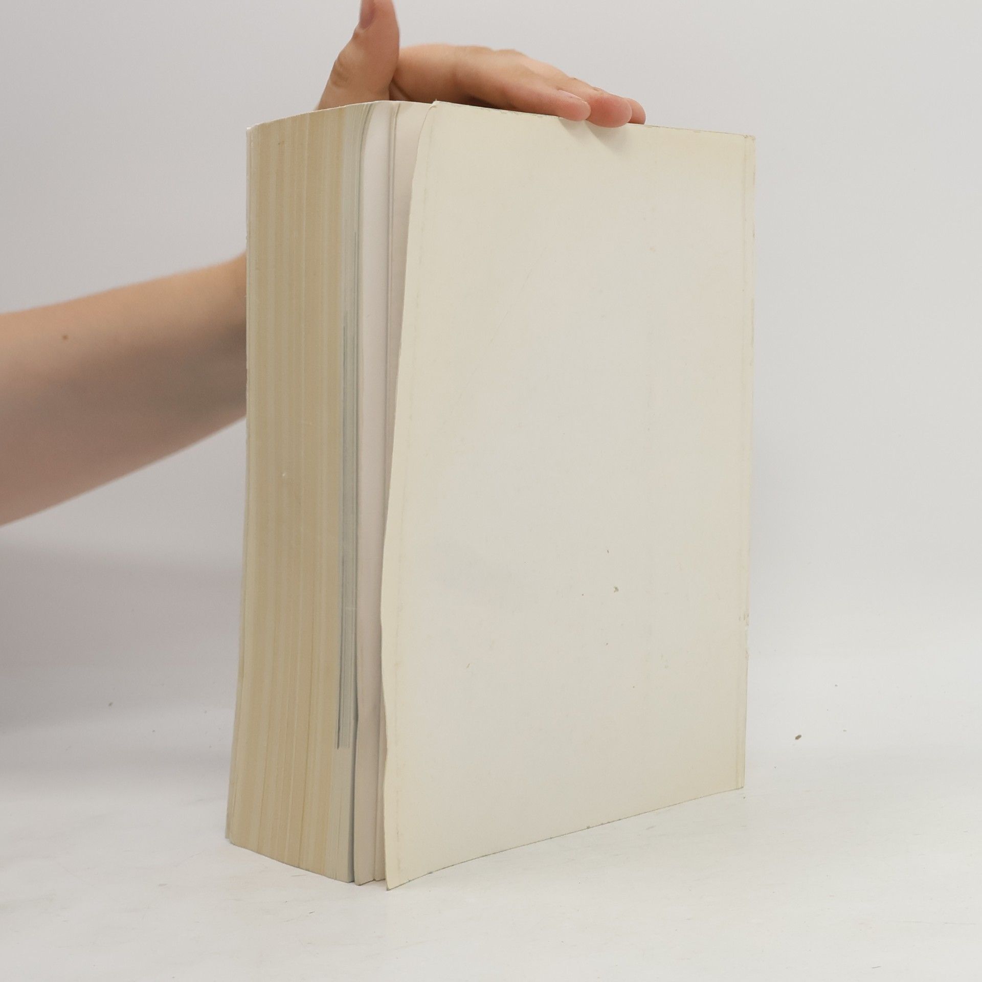 Autorenkollektiv 1000 Jahre kuns in Krems