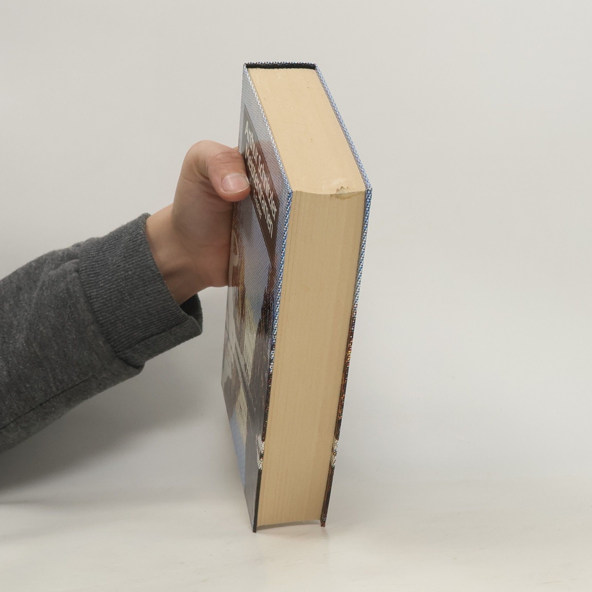 Arthur Schnitzler Meisterdramen