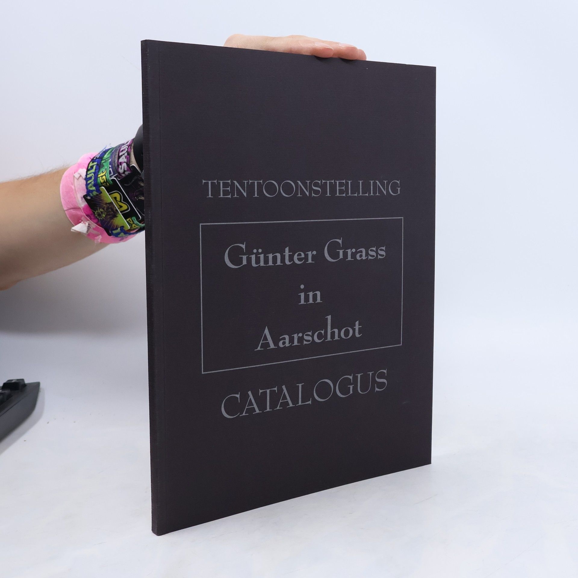 Kolektiv autorů Tentoonstelling. Günter Grass in Aarschot