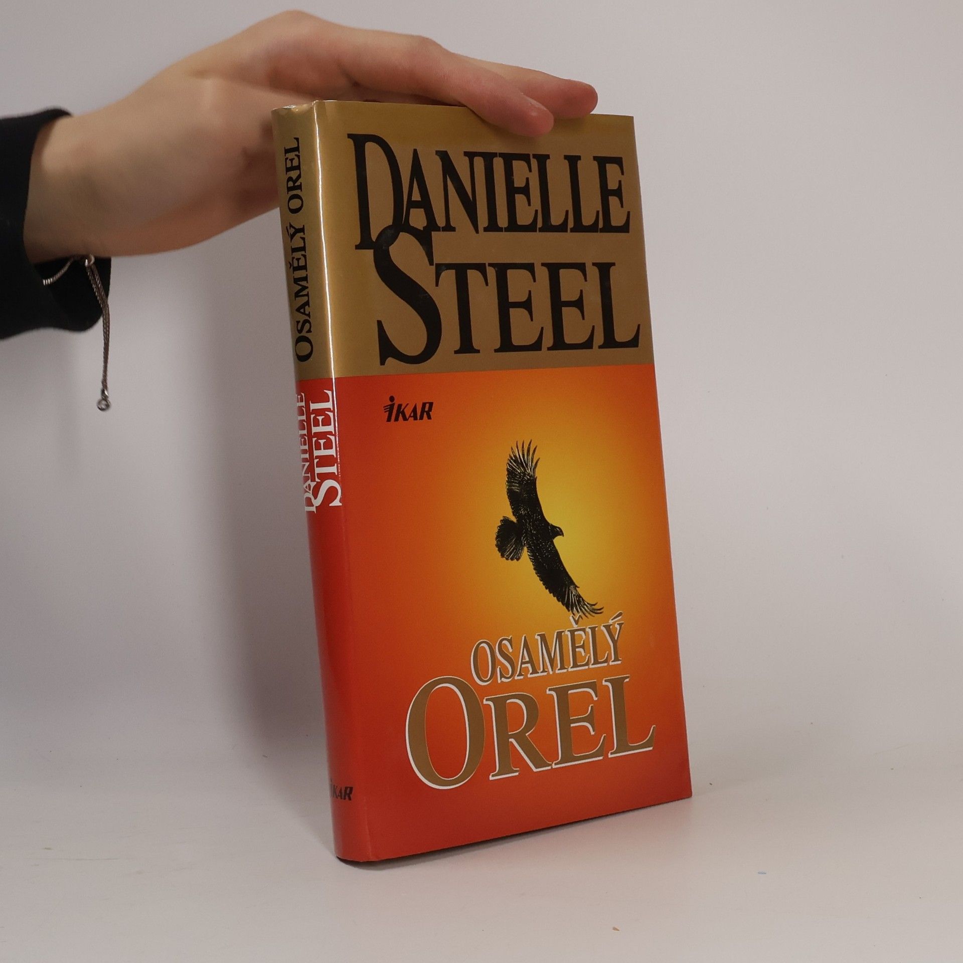 Danielle Steel Osamělý orel