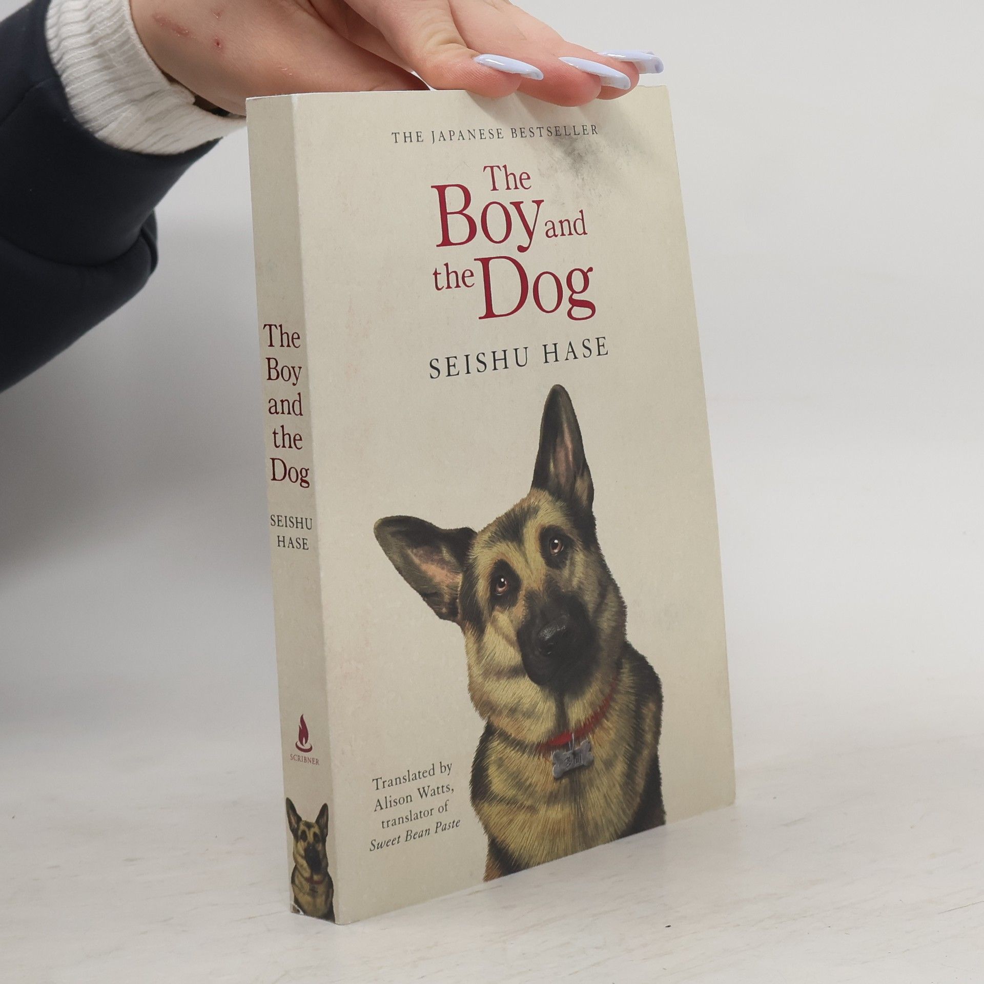 Seishu Hase The Boy and the Dog