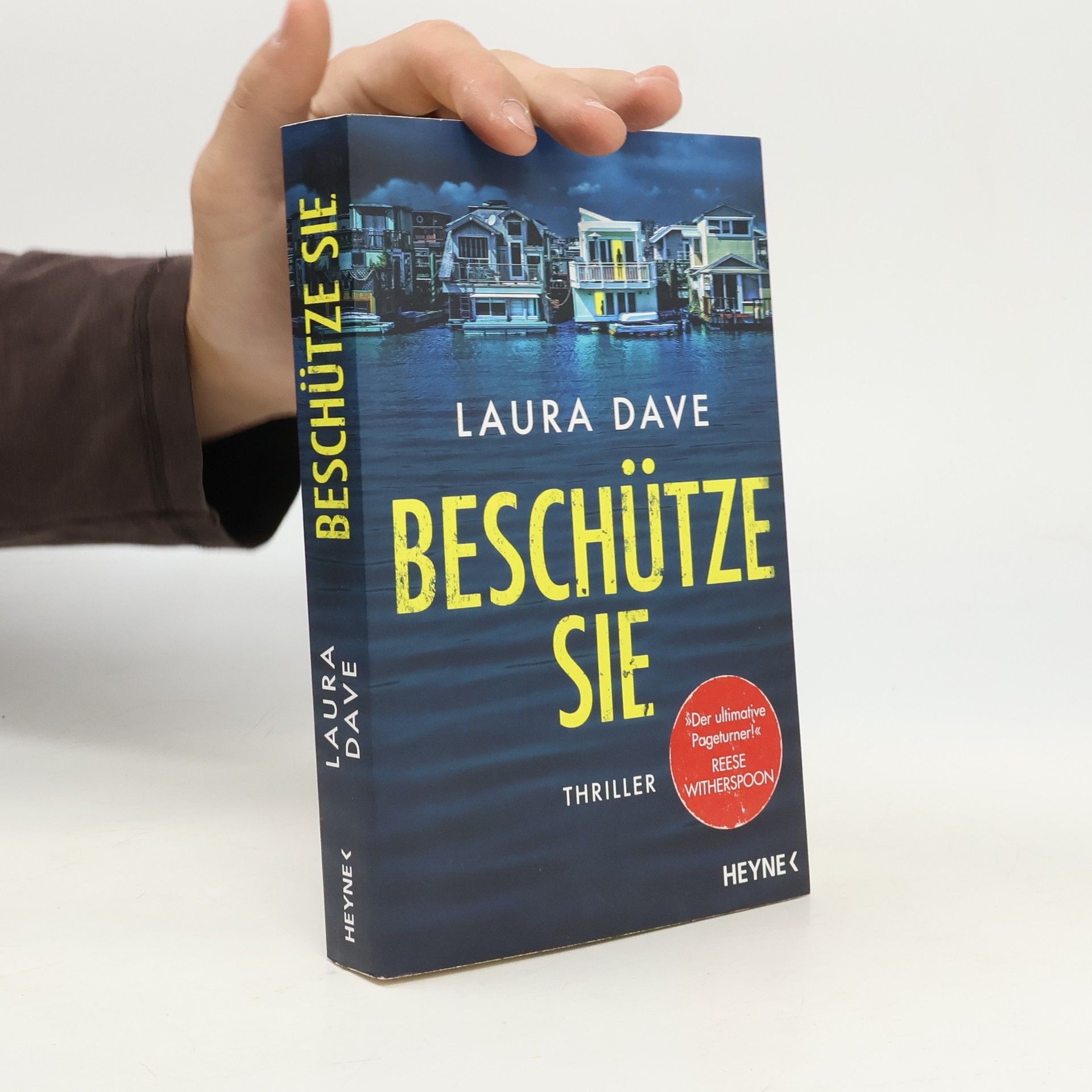 Laura Dave Beschütze sie