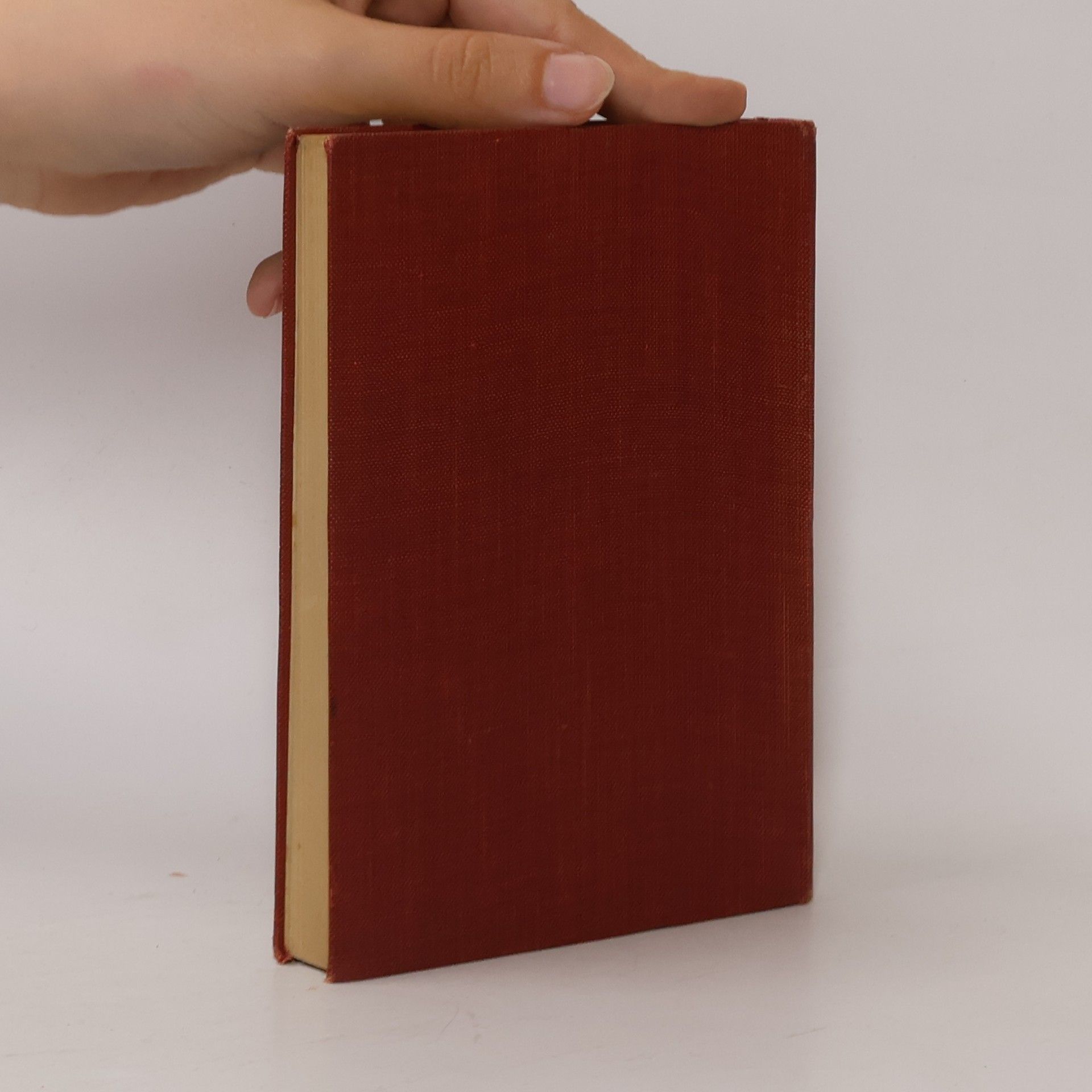Kolektiv autorů Great Fights in Literature