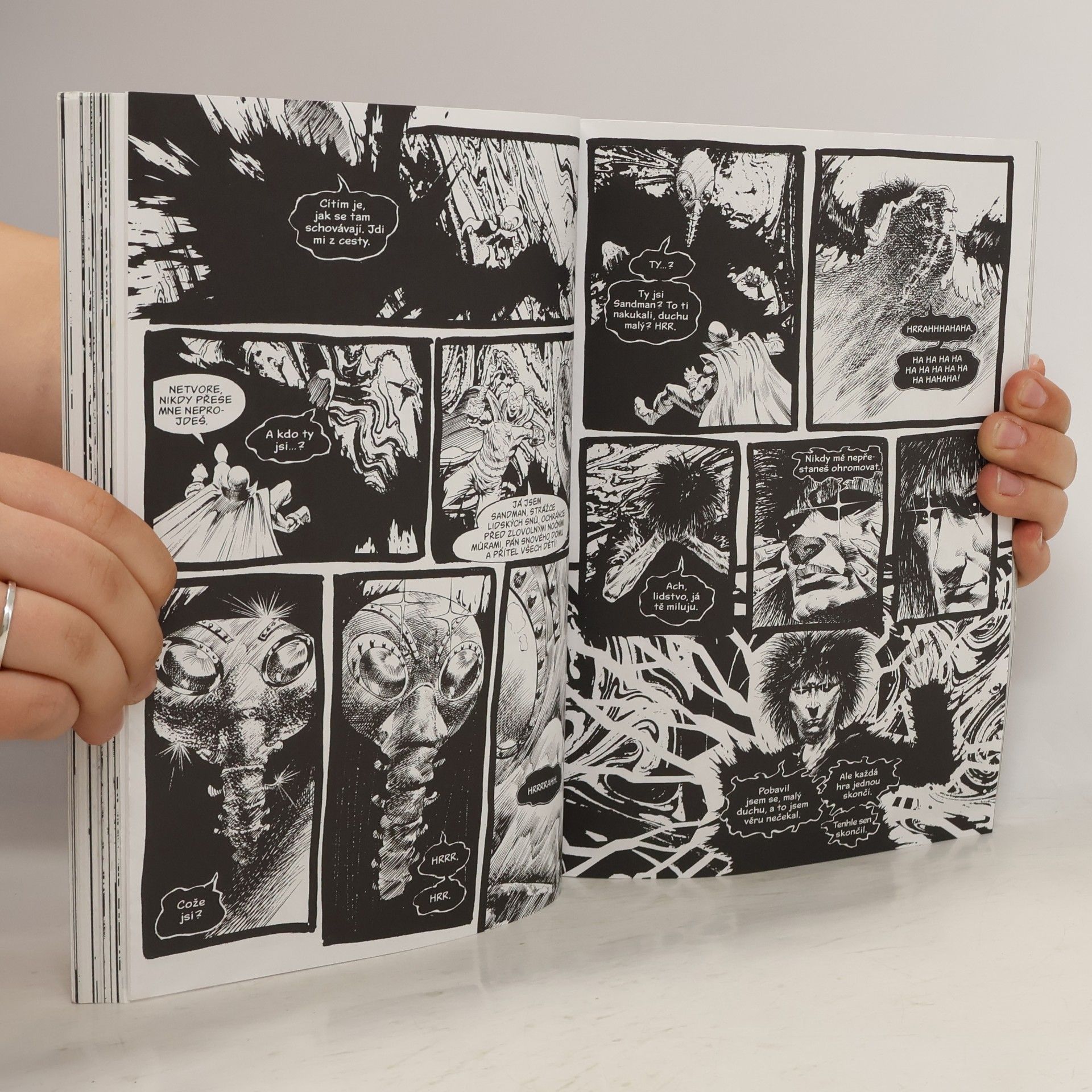 Neil Gaiman Sandman. Domeček pro panenky