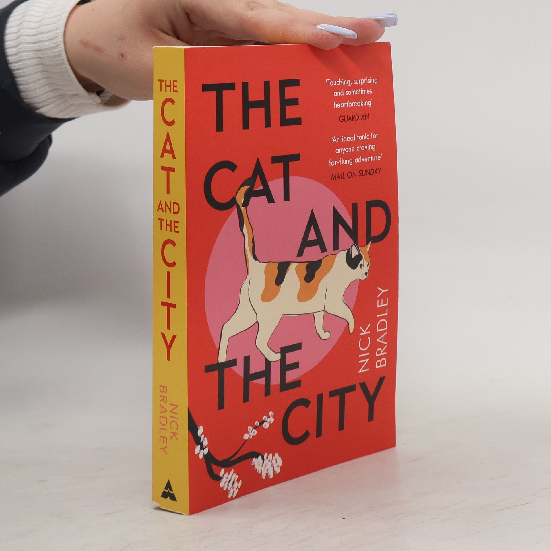 Nick Bradley The Cat and the City