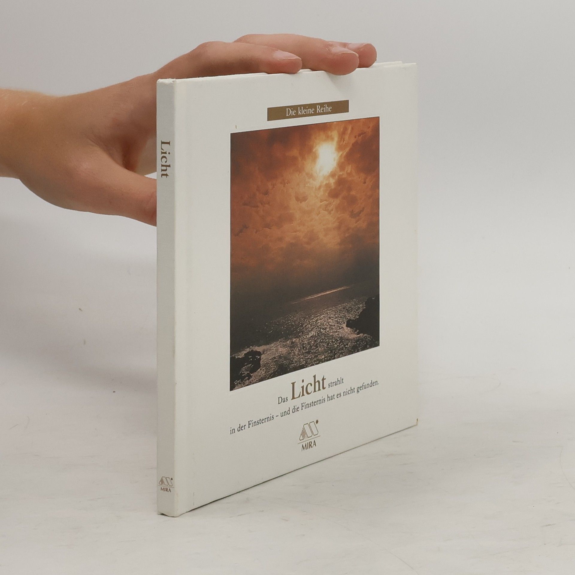 Auteurscollectief Das Licht strahlt in der Finsternis, und die Finsternis hat es nicht gefunden