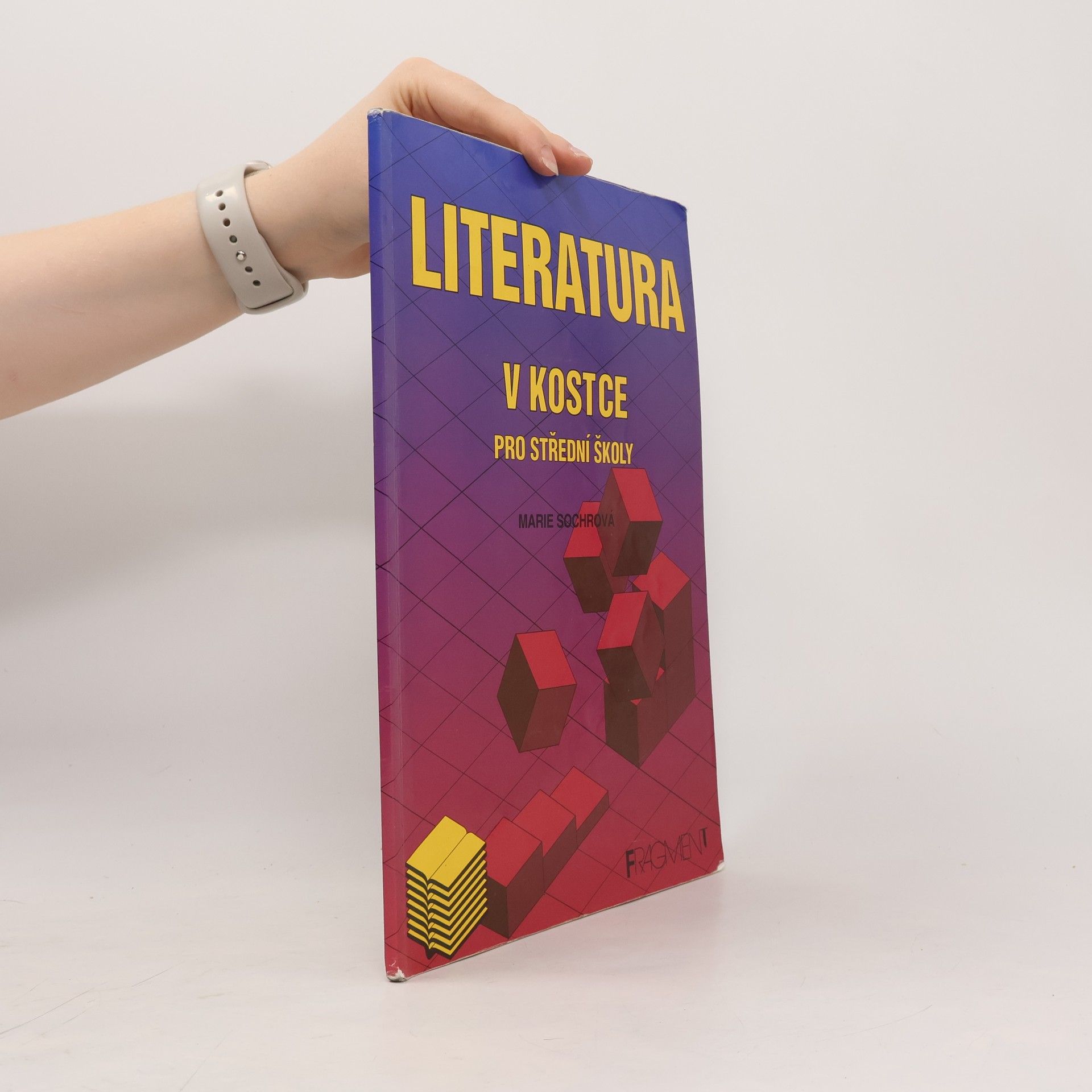 Marie Sochrová Literatura v kostce pro střední školy