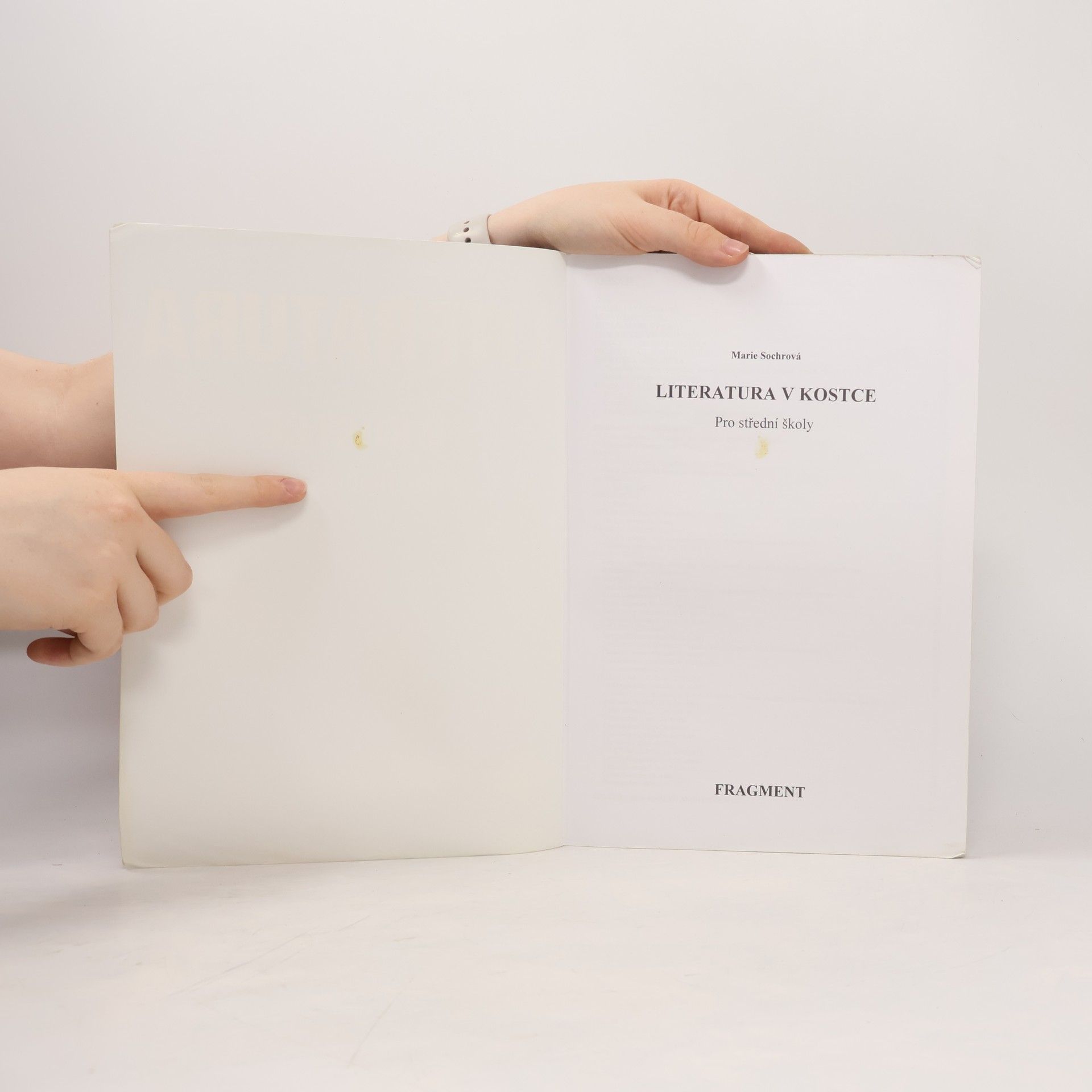 Marie Sochrová Literatura v kostce pro střední školy