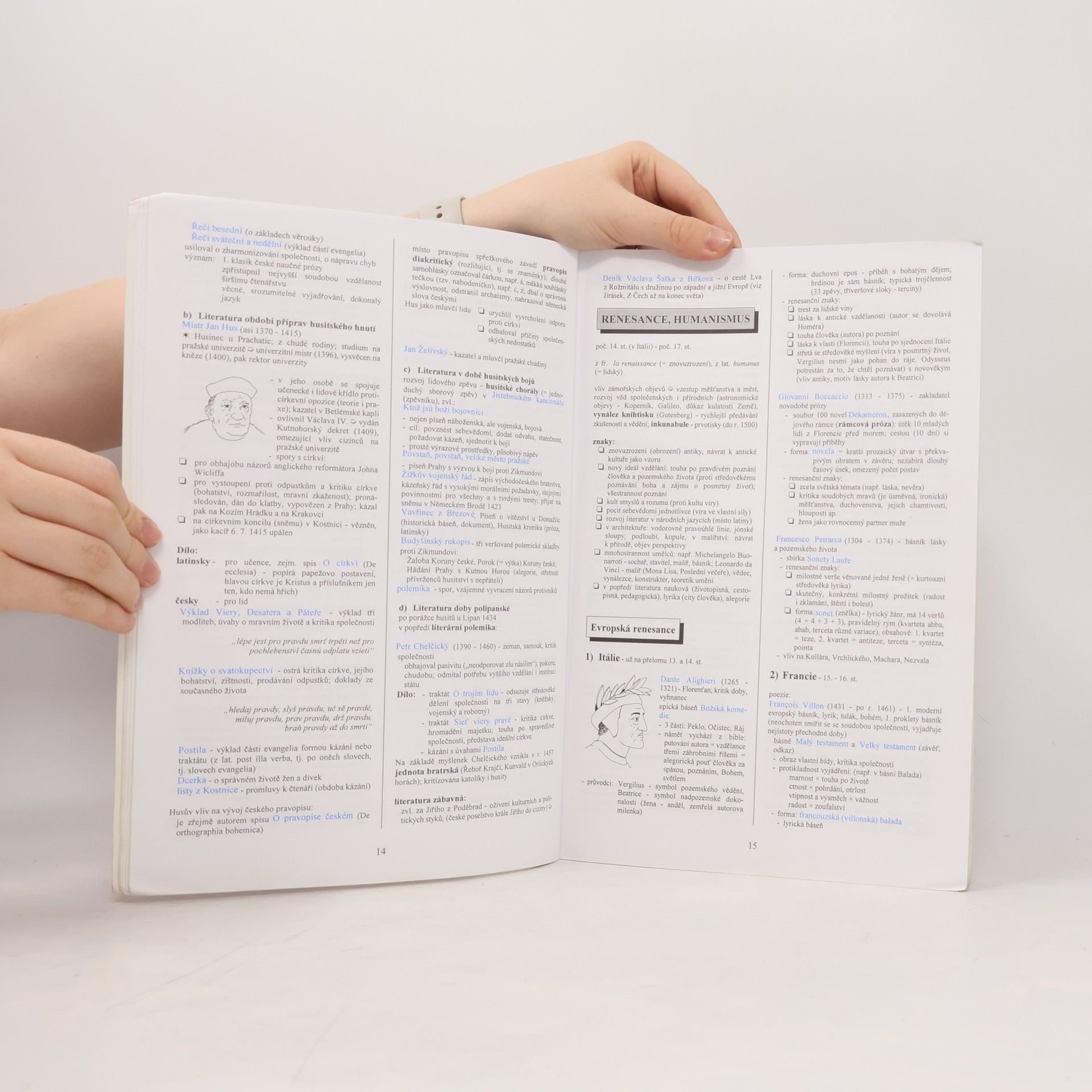 Marie Sochrová Literatura v kostce pro střední školy
