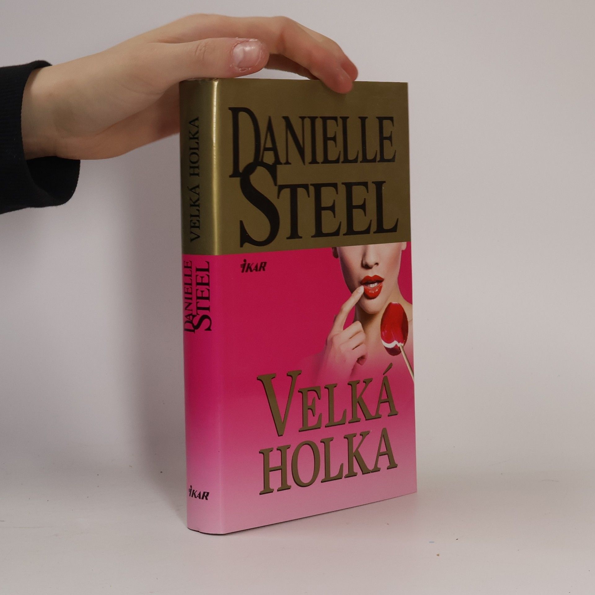 Danielle Steel Velká holka