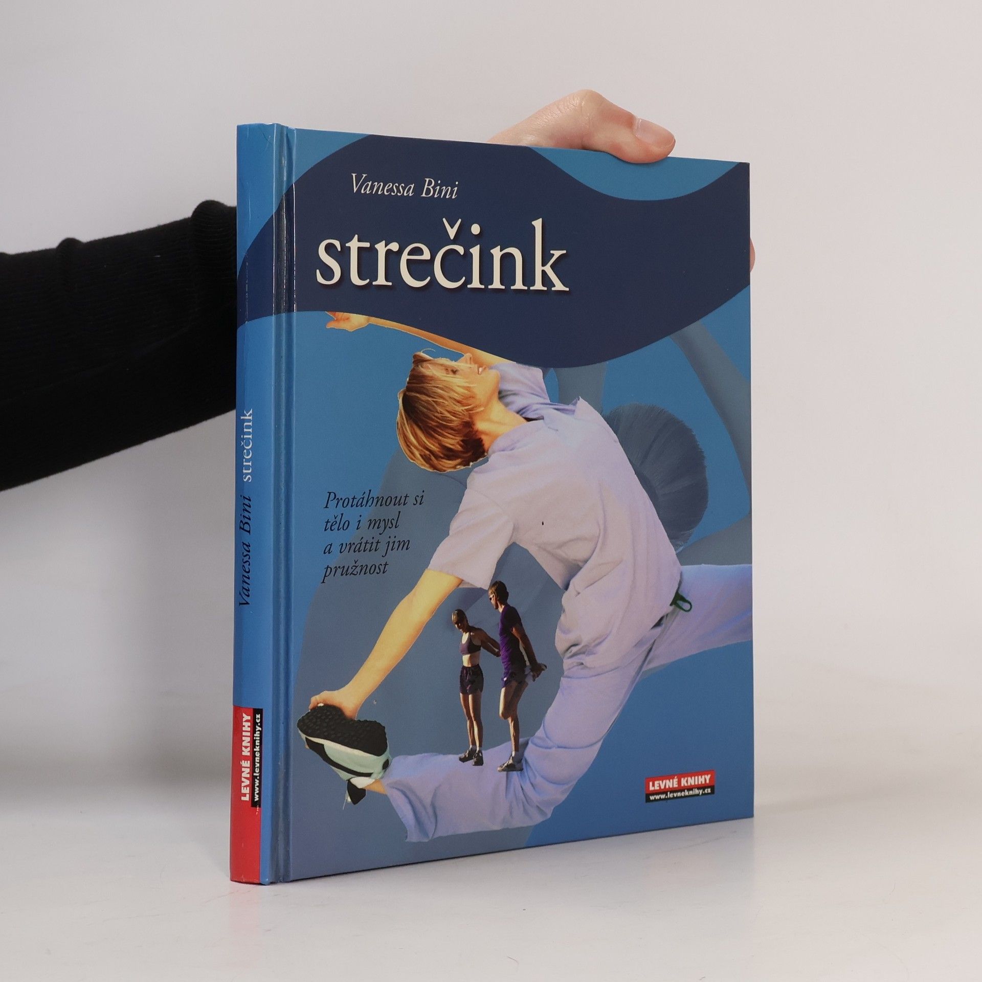 Vanessa Bini Strečink
