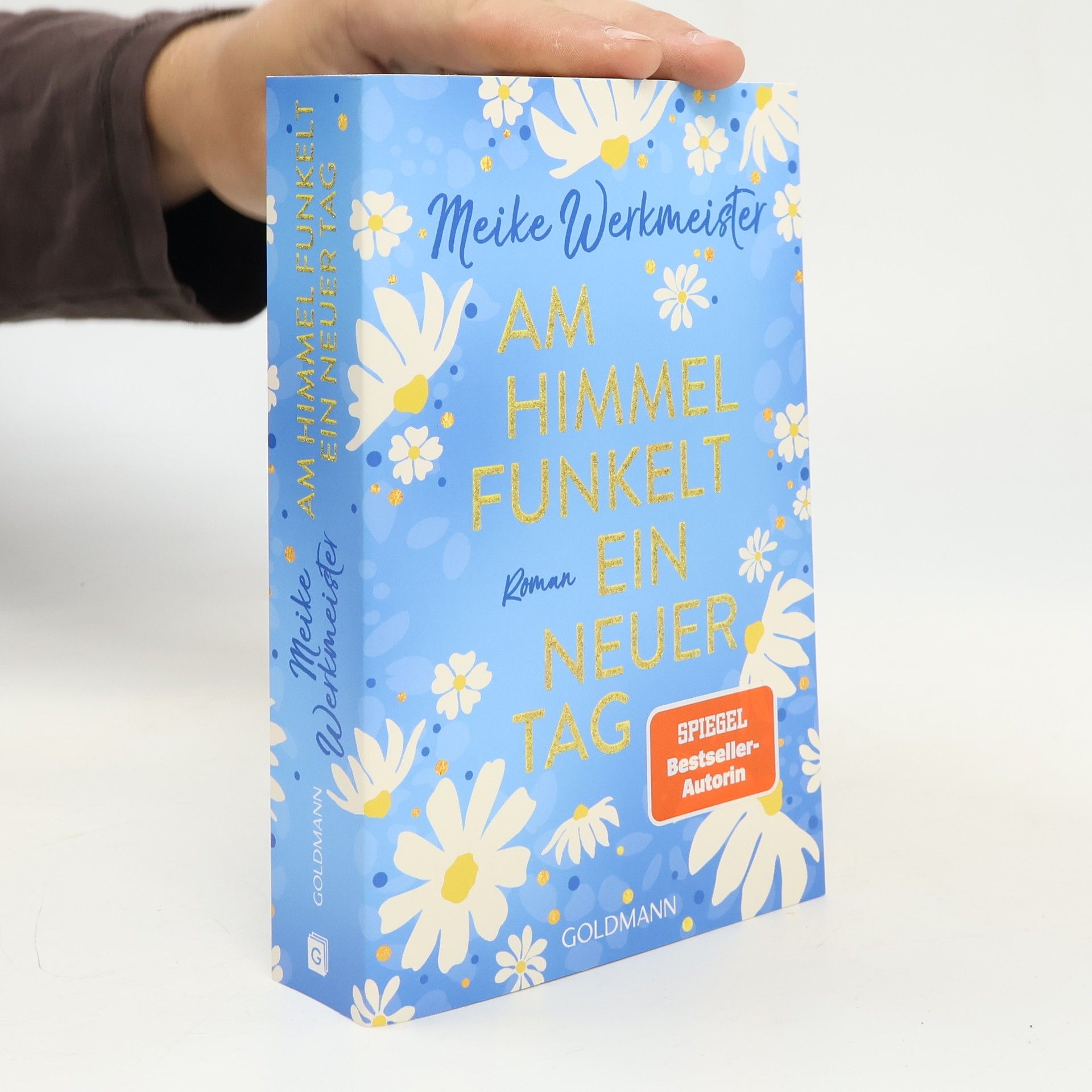 Meike Werkmeister Am Himmel funkelt ein neuer Tag