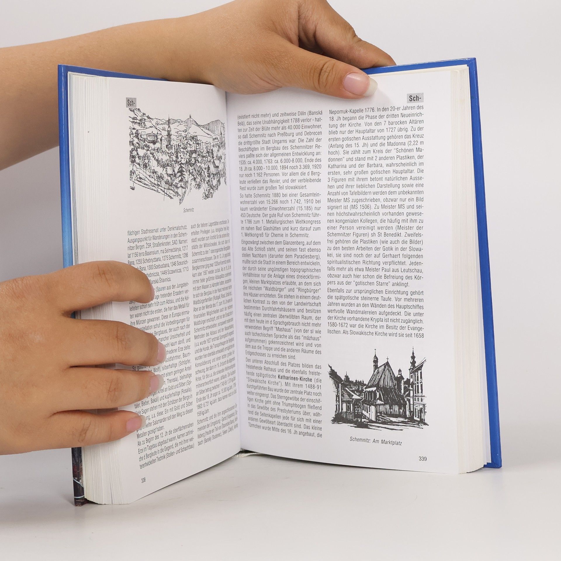 Karl Kiraly Das große Buch der Slowakei : 3000 Stichworte zur Kultur, Kunst, Landschaft, Natur, Geschichte, Wirtschaft
