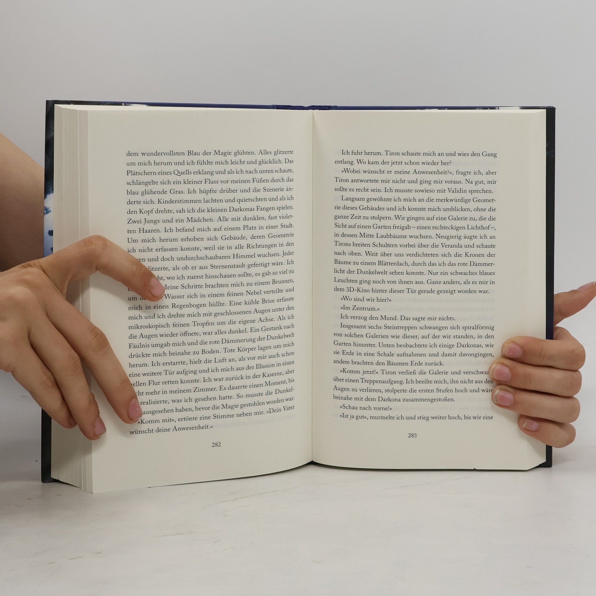 Katja Ammon Darker Things: Eine Liebe zwischen den Welten