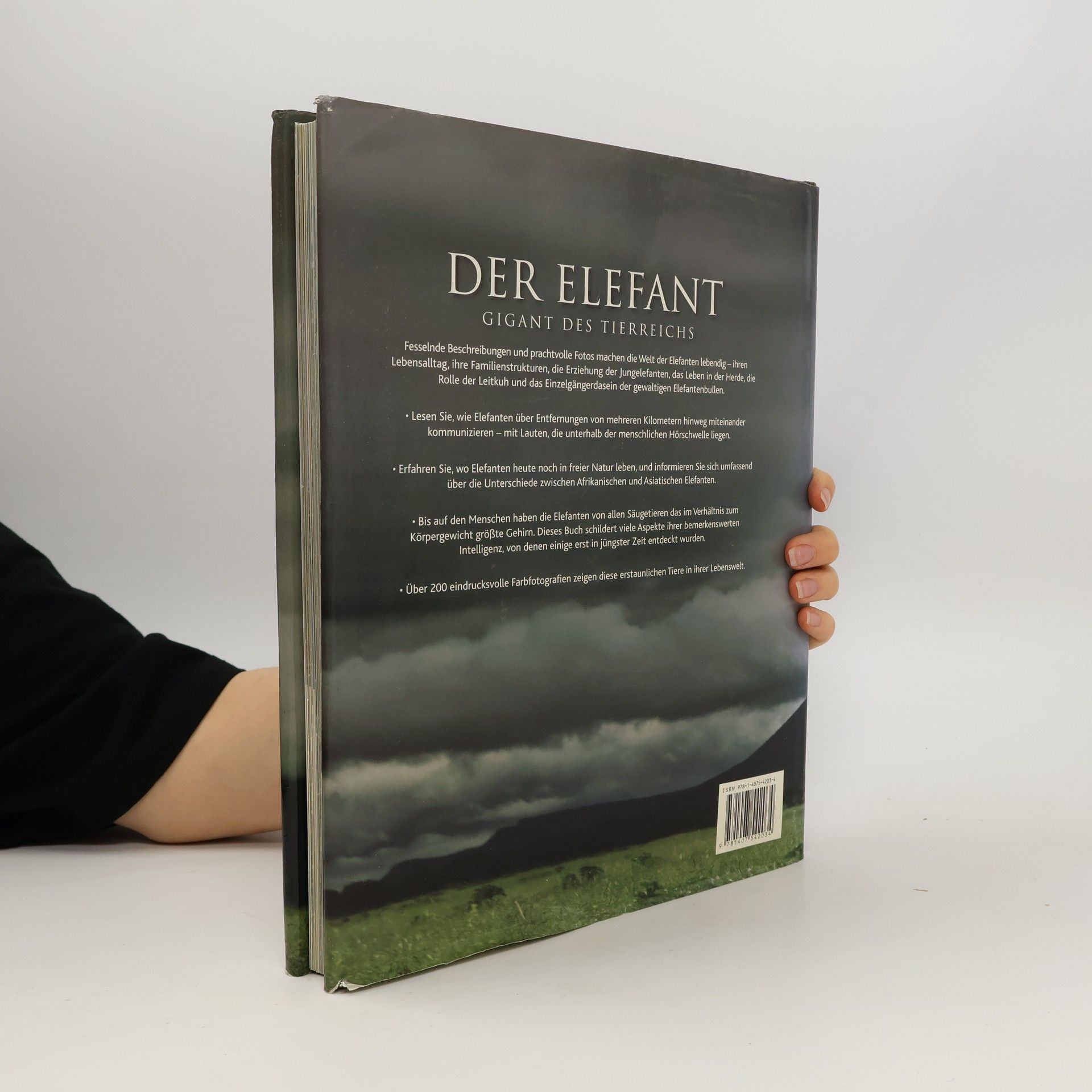 Gill Davies Der Elefant