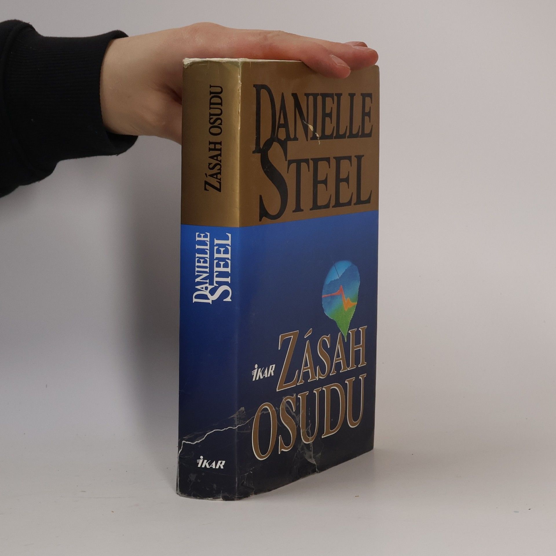 Danielle Steelová Zásah osudu