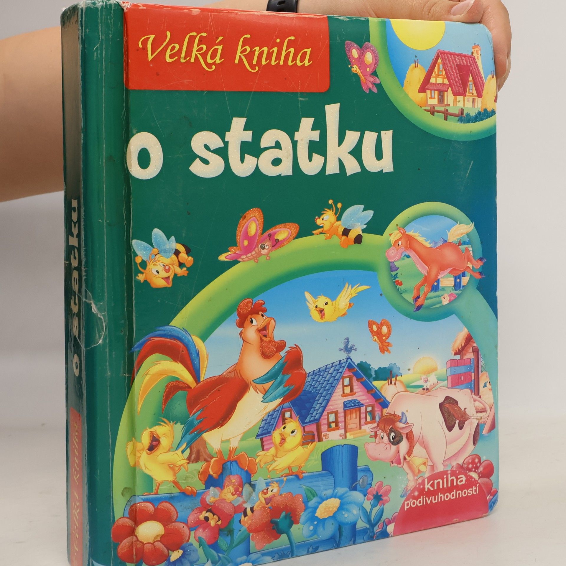 Claudio Cernuschi Velká kniha o statku