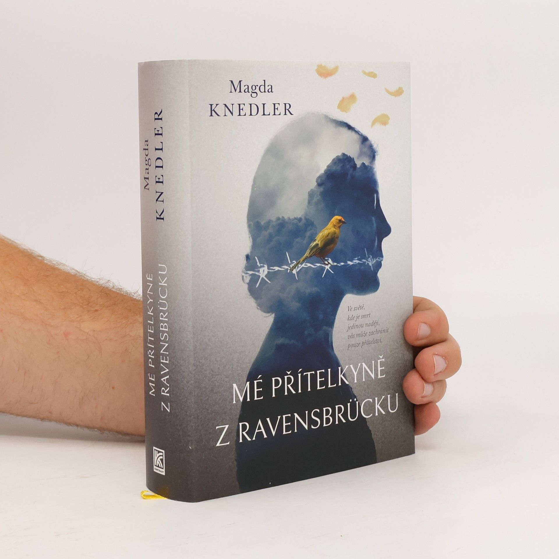 Magdalena Knedler Mé přítelkyně z Ravensbrücku